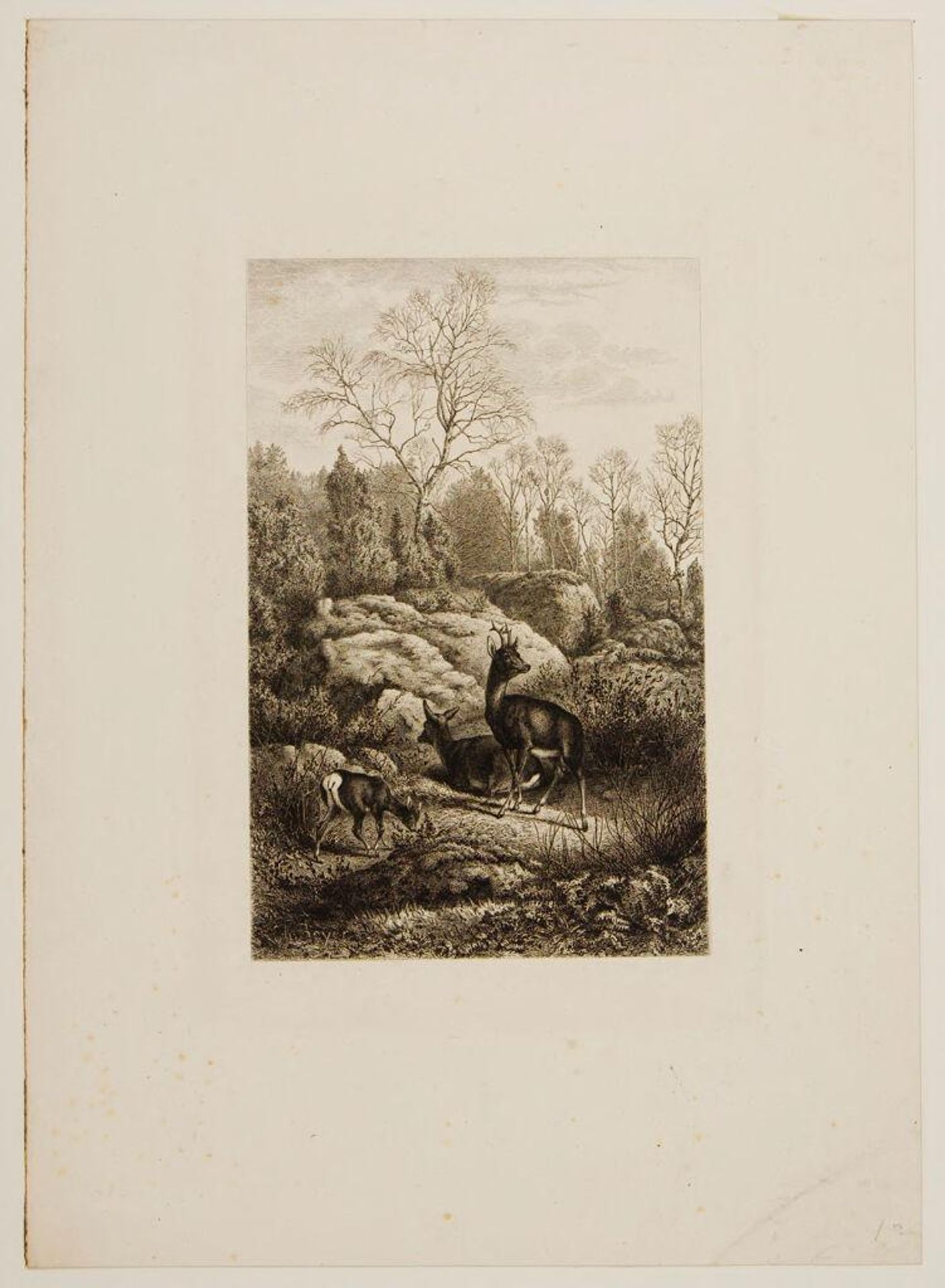Landscape with Deer by Charles Beyer