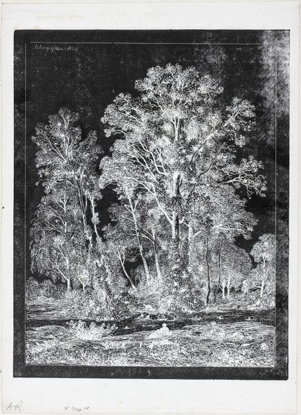Slide 8