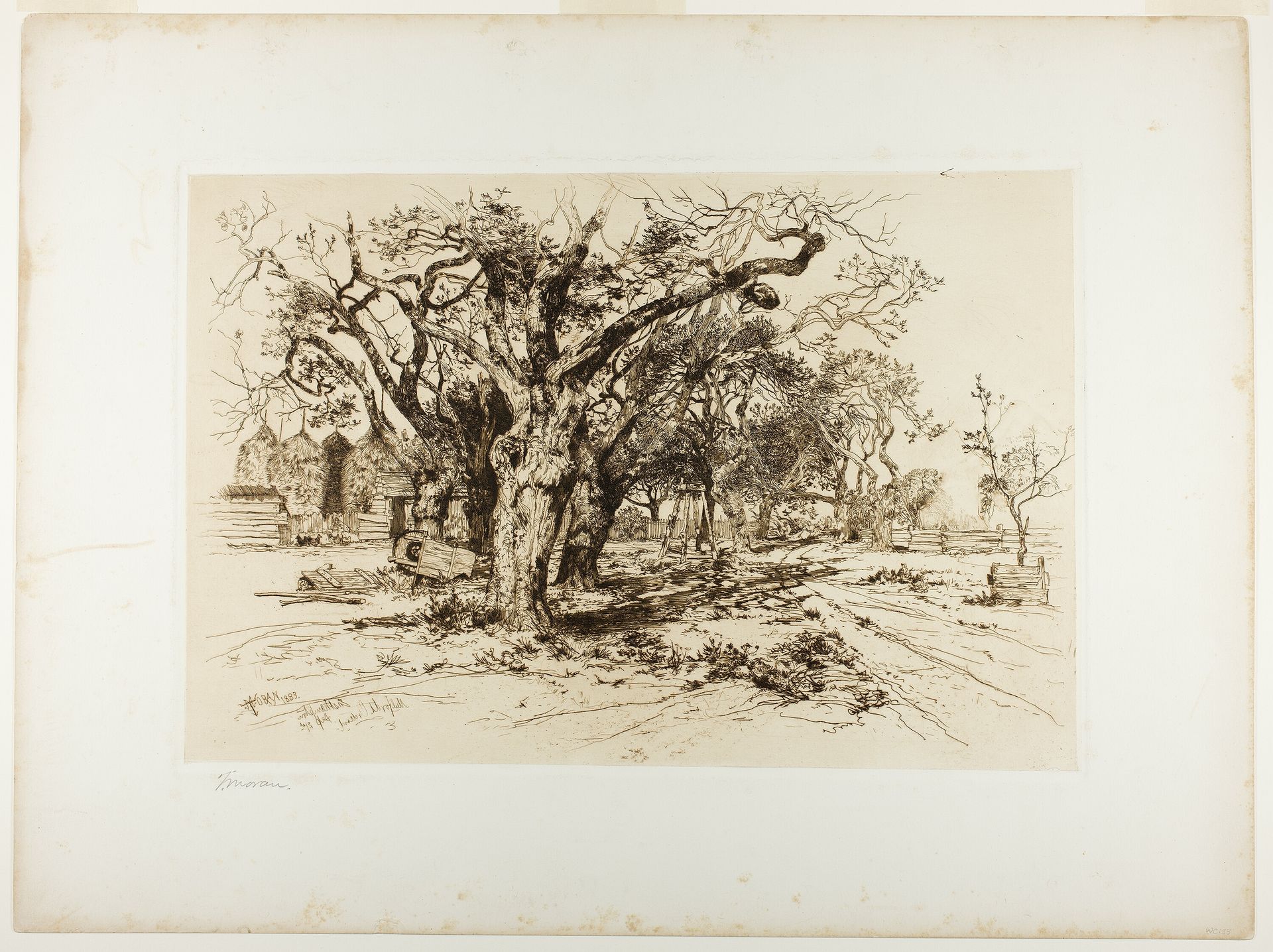 Mulford's Orchard, Easthampton by Thomas Moran