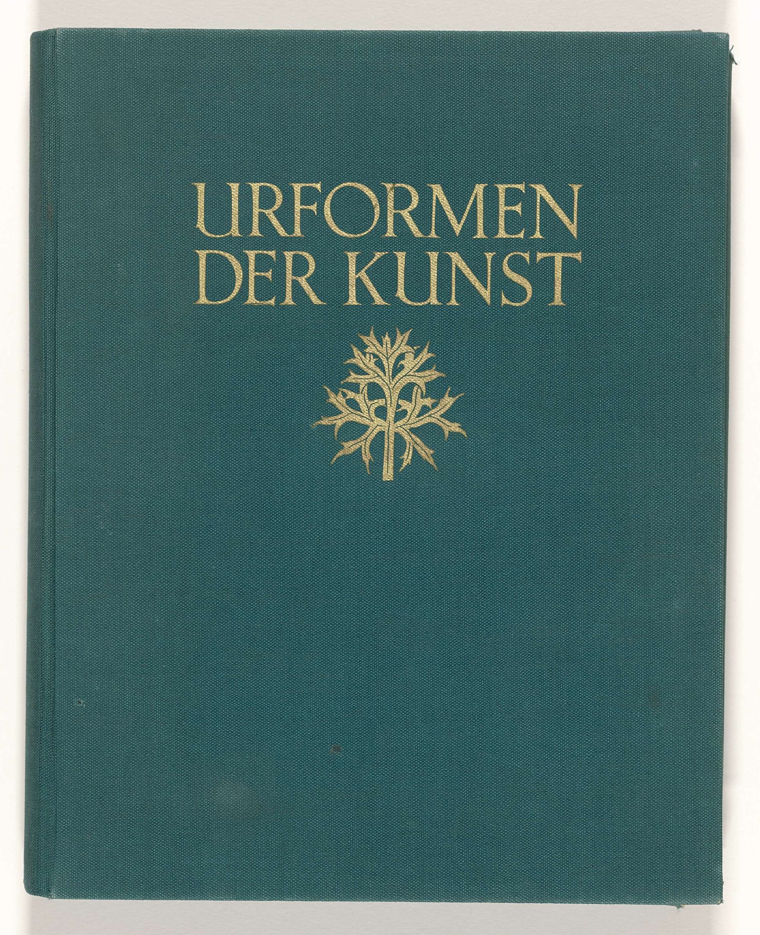 Urformen der Kunst : photographische Pflanzenbilder by Karl Blossfeldt