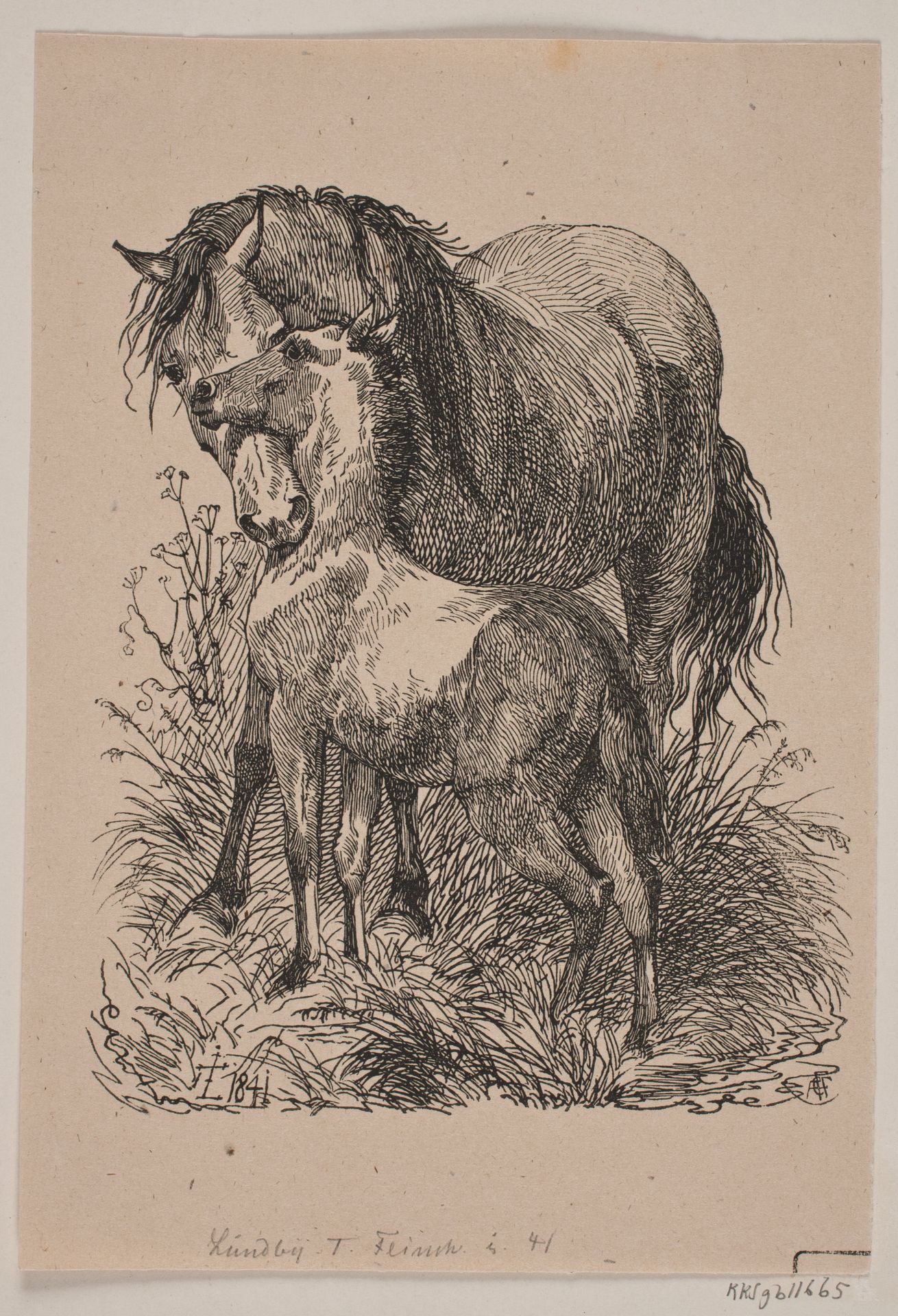 Hoppen og føllet by Andreas Flinch