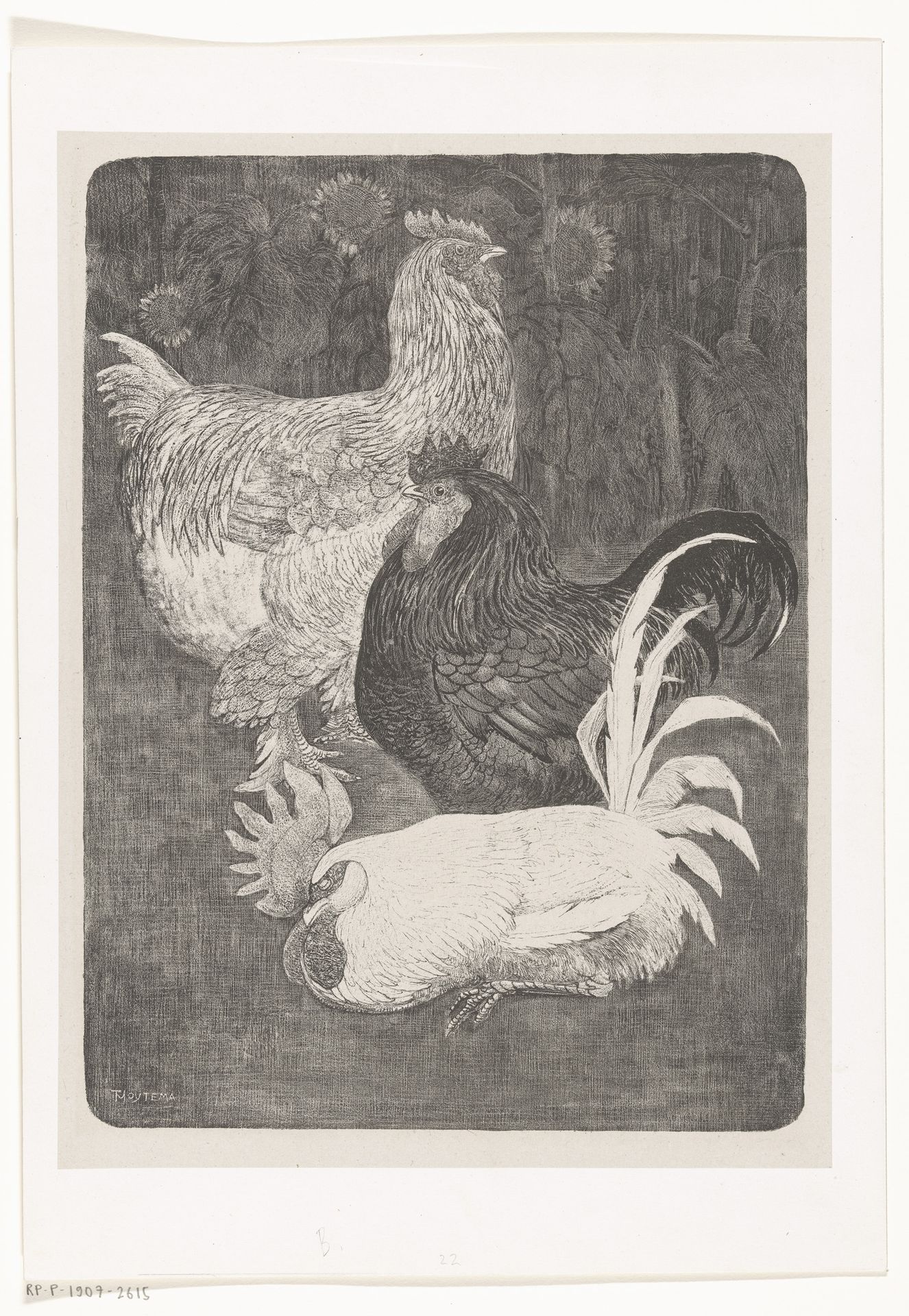 Drie hanen by Theo van Hoytema