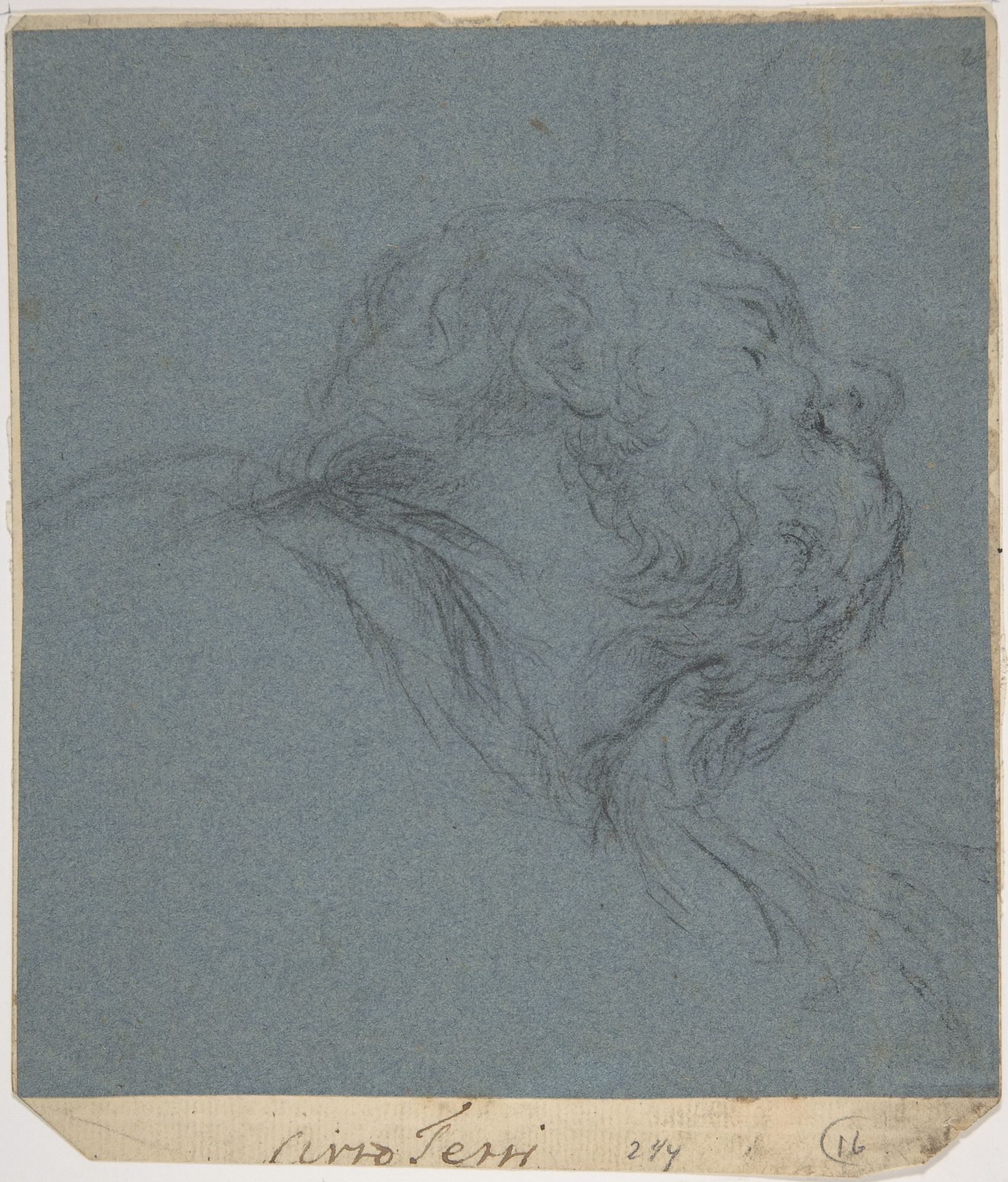 Head of a Bearded Man Looking to Upper Right by Ciro Ferri