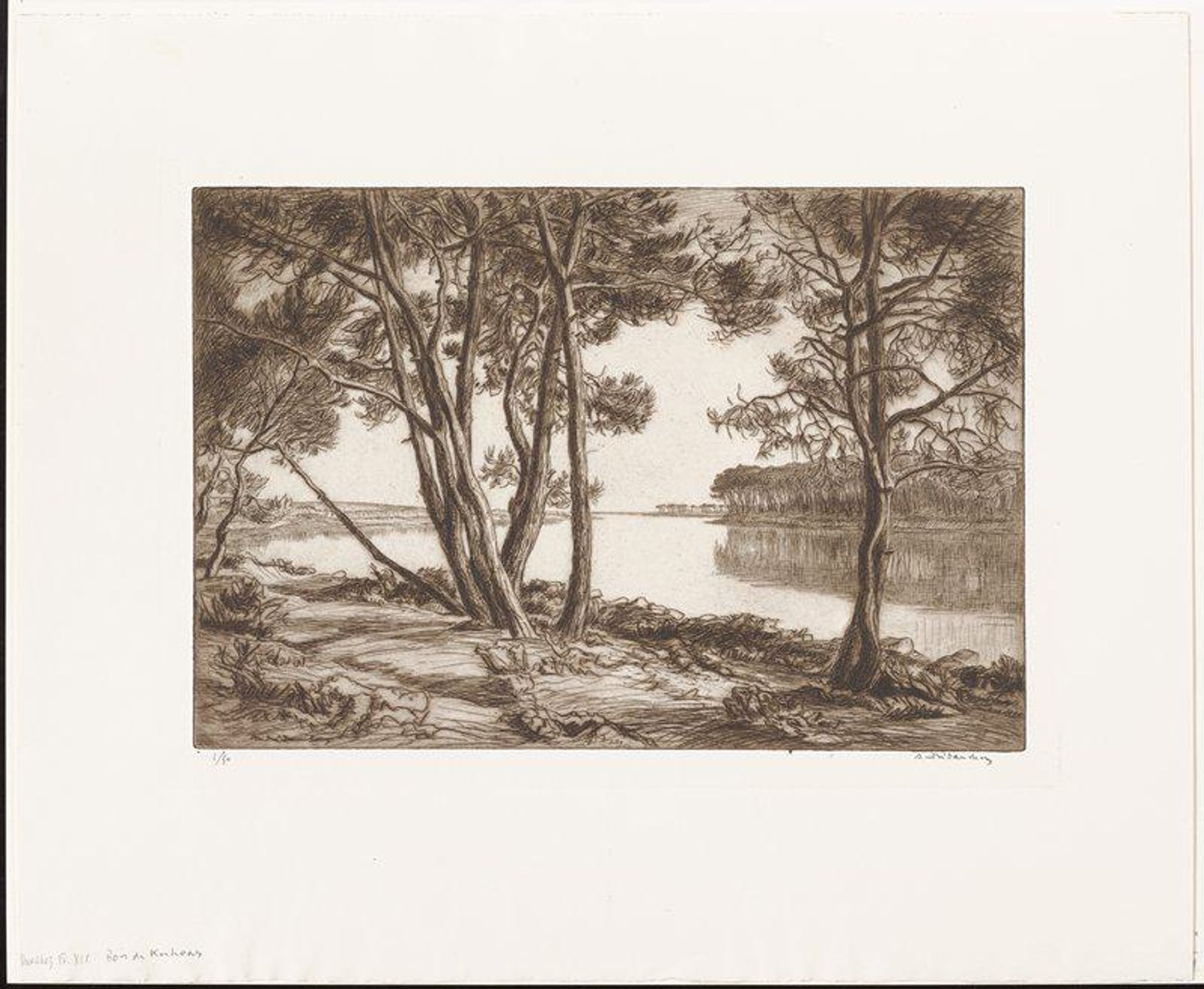 Bois de Kerchoas by André Dauchez