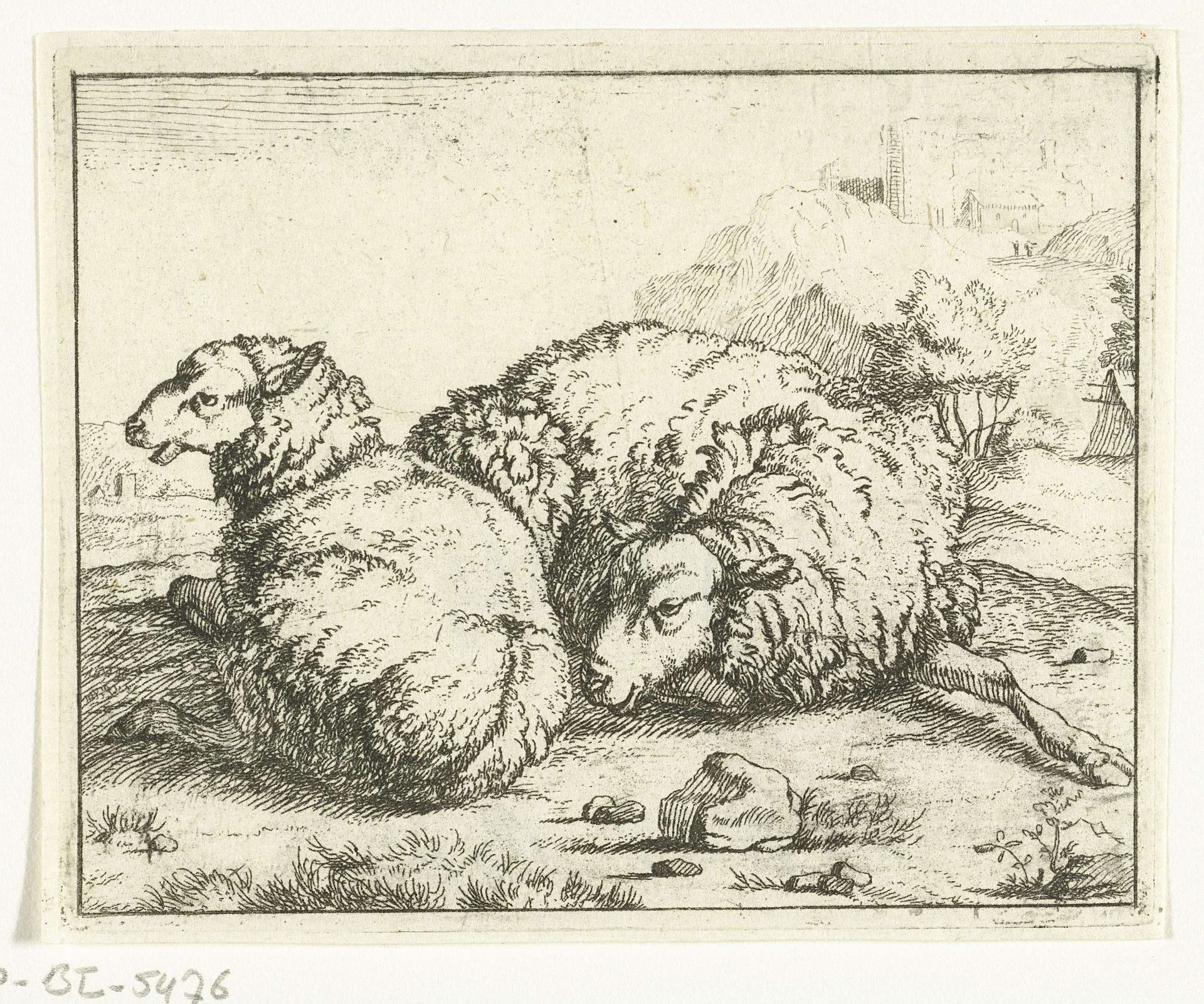 Twee liggende schapen, bergdorpje op achtergrond by Anonymous