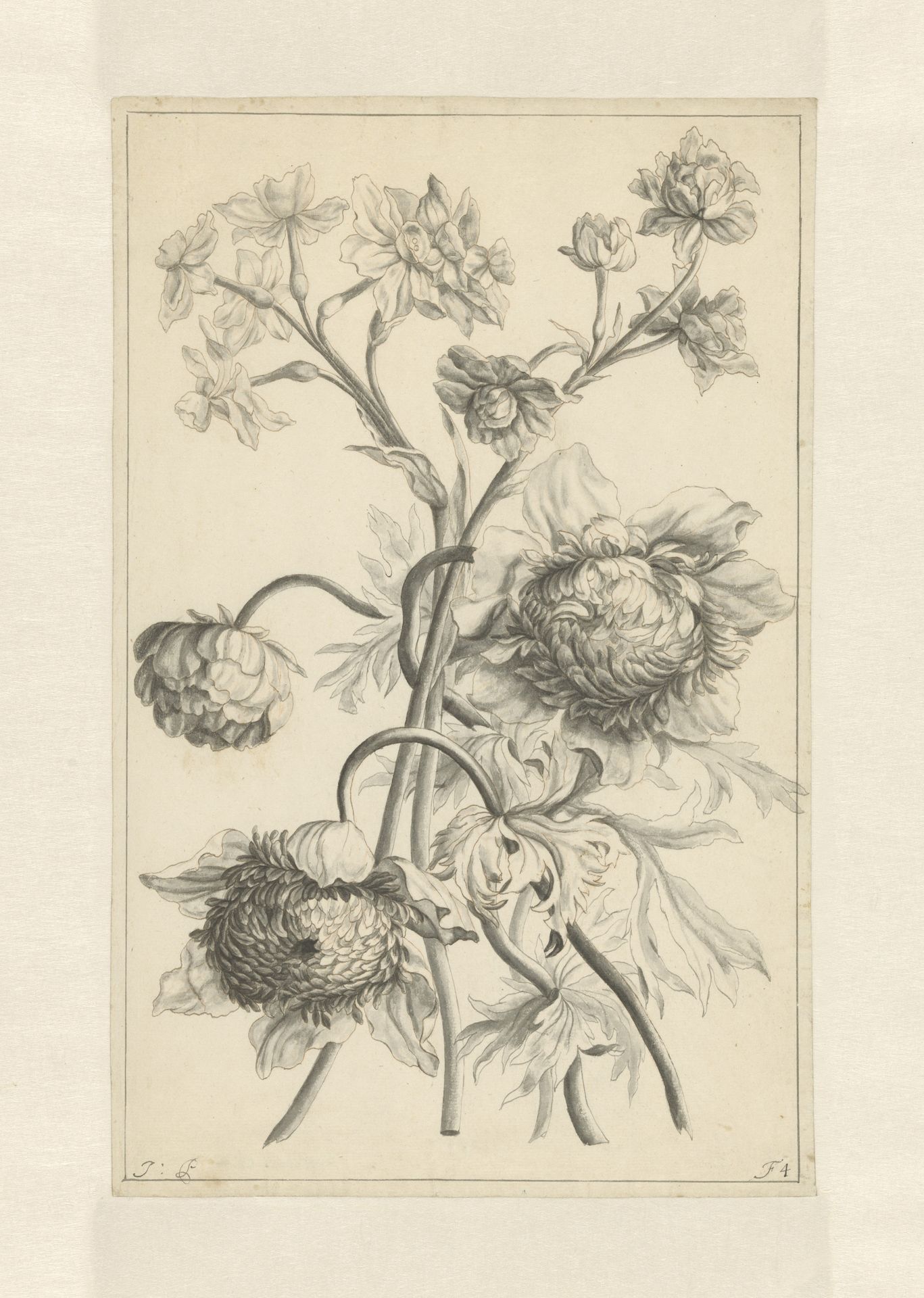 Twee takken met een pioenroos by J. Porteret