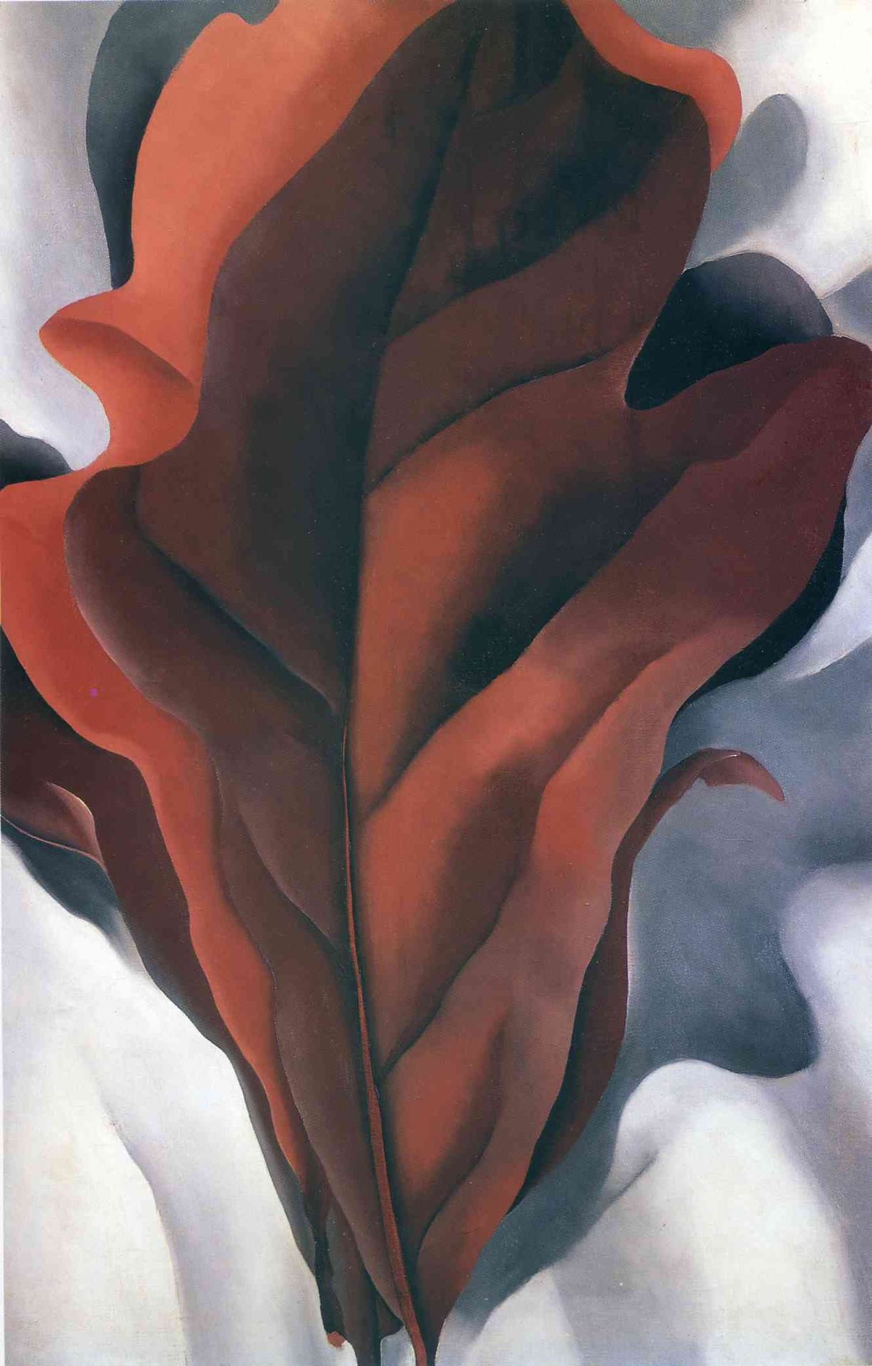 Large Dark Red Leaves on White by Georgia O'Keeffe