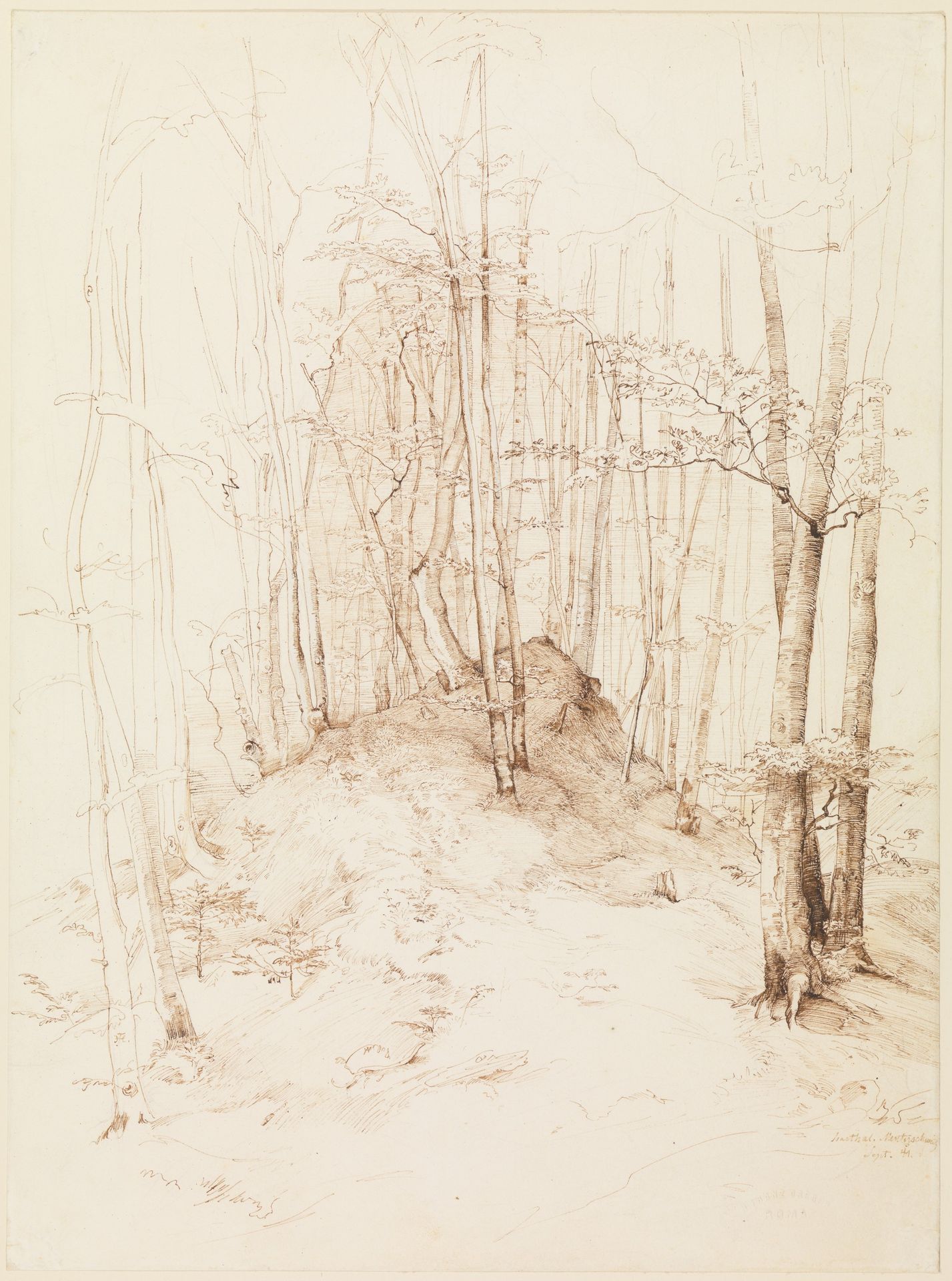 Forest view in the Menterschweige district near Munich by Heinrich Dreber