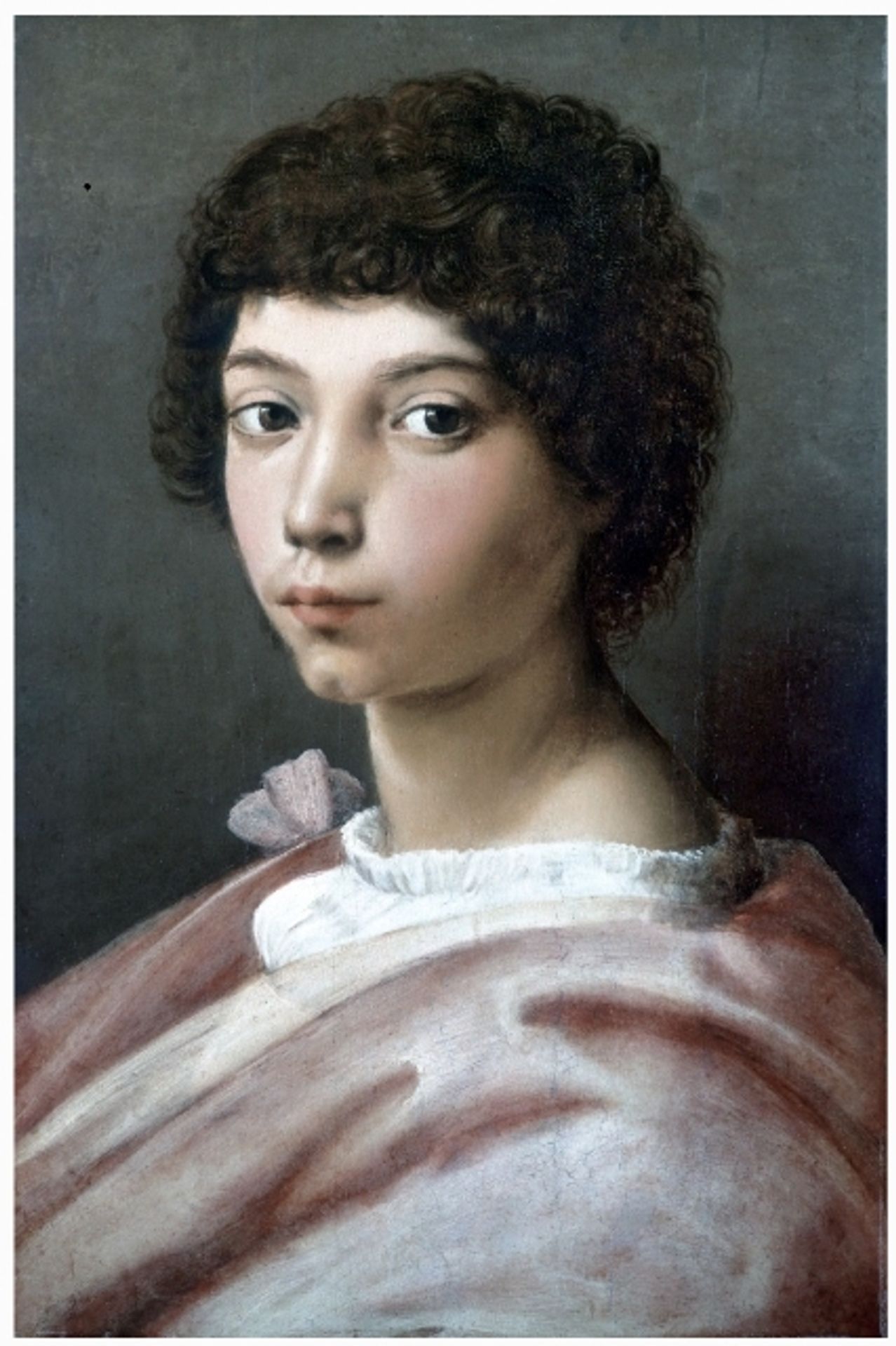 Portrait of a Young Man by Giulio Romano