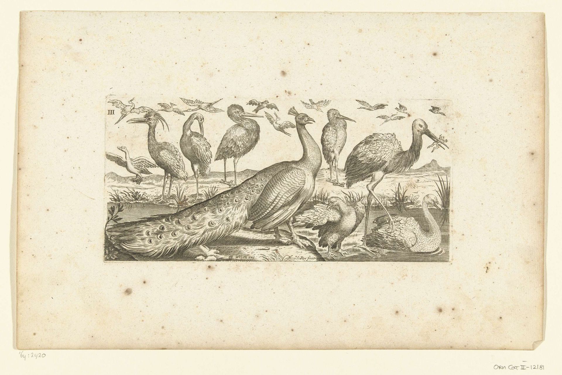 Negentien vogels by Henri Le Roy