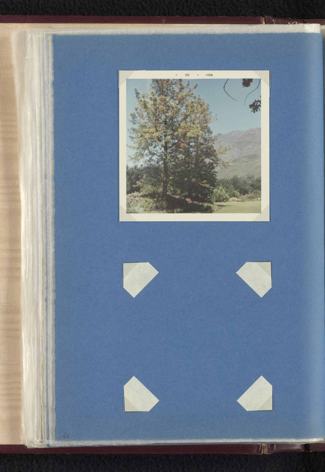 Uitzicht op een tuin, vermoedelijk van wijngaard Lanzerac in Stellenbosch, Zuid-Afrika by Willem Jacob van den Berg