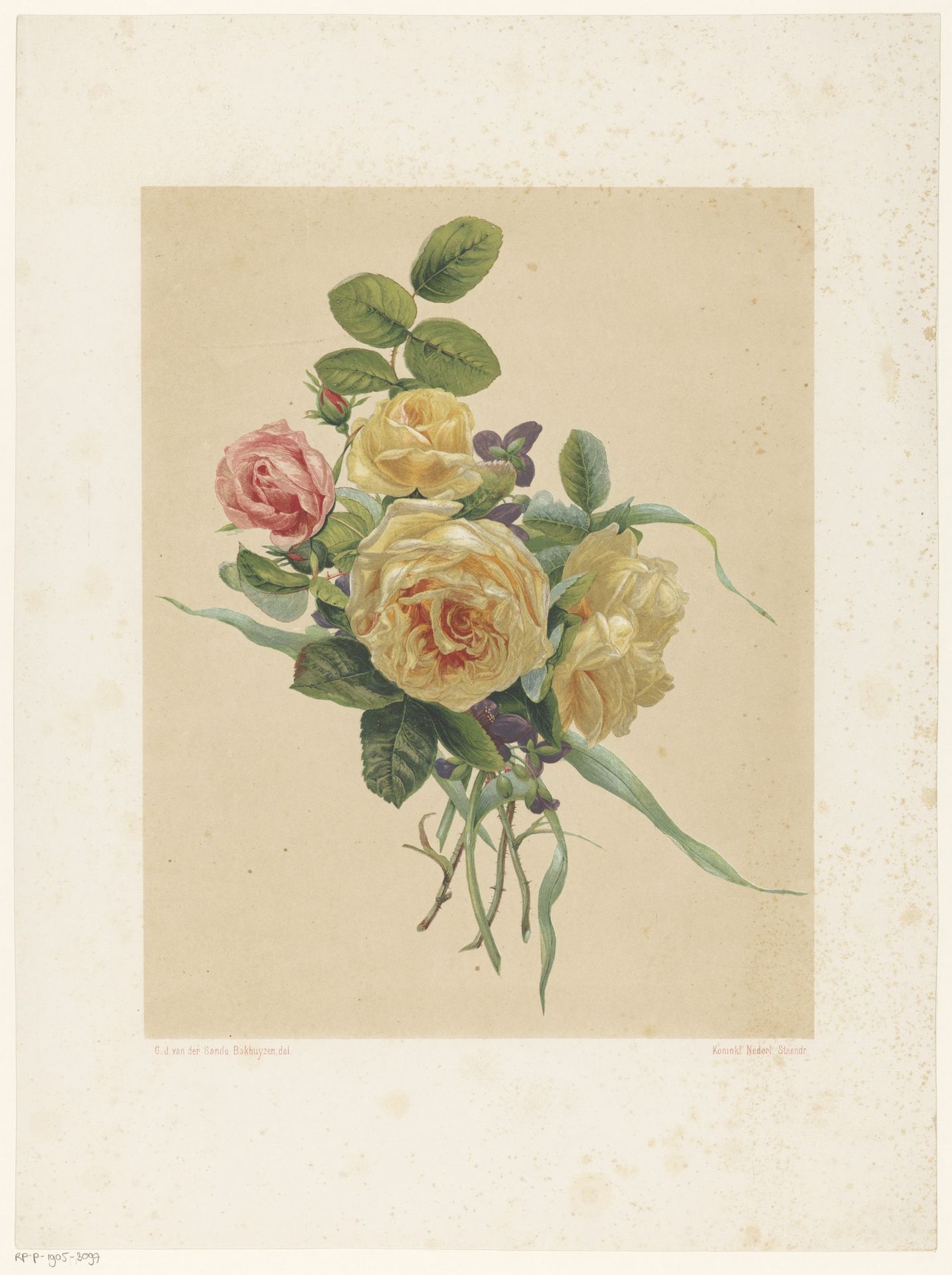 Bos rozen en violen by Anonymous