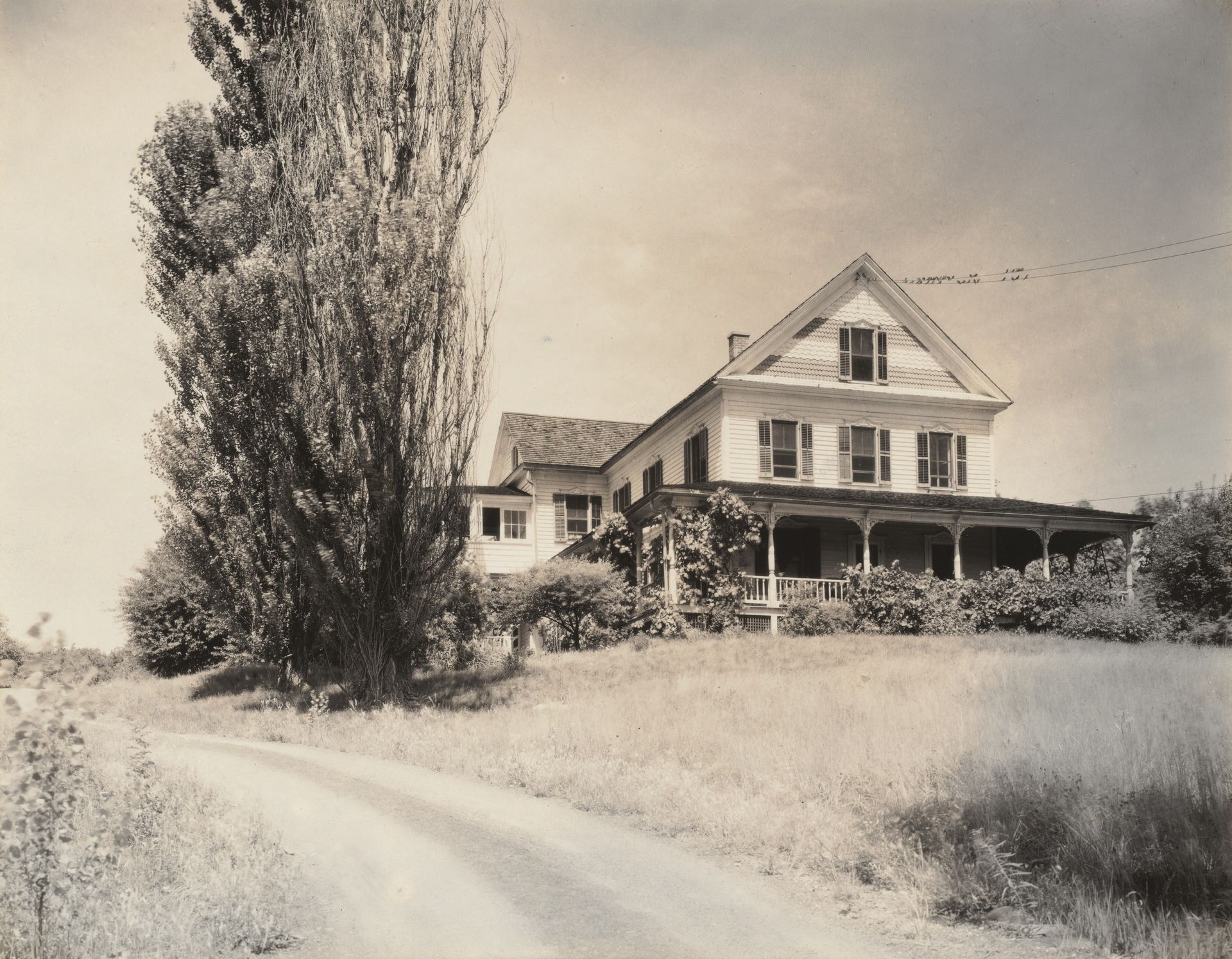 House and Poplars, Lake George by Alfred Stieglitz
