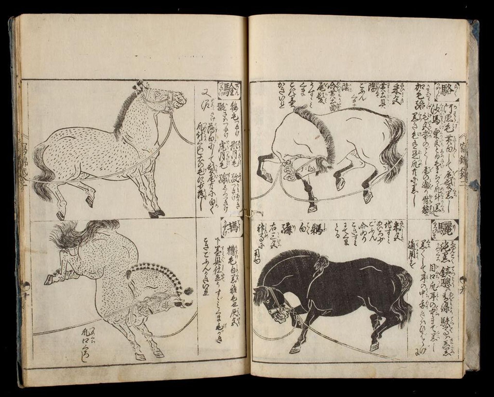 Bag of Historical Treasures and People of Japan and China (Ehon shahÅ-bukuro), 2nd of 10 Volumes by Tachibana Morikuni