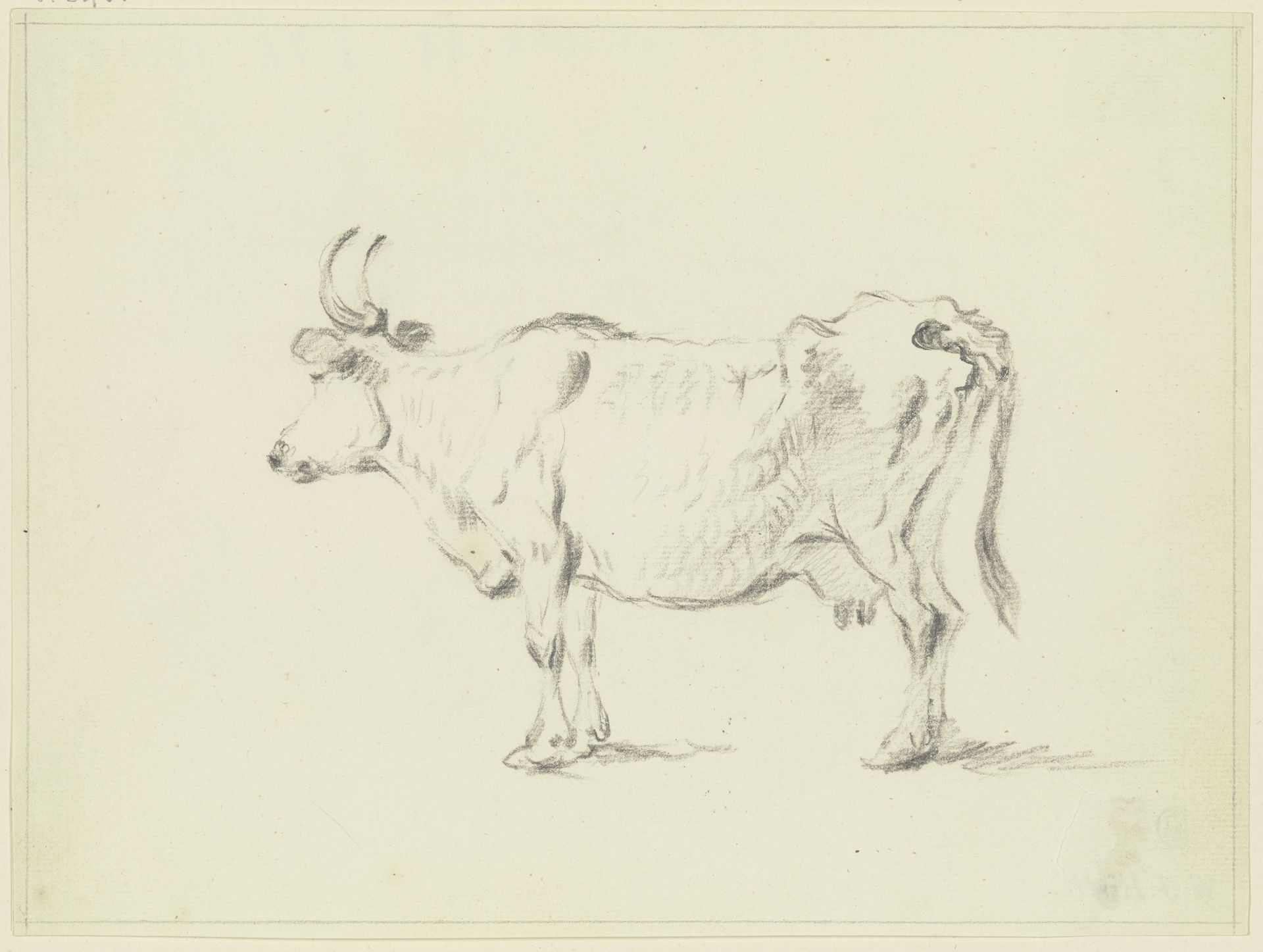 Standing cow to the left by Friedrich Wilhelm Hirt