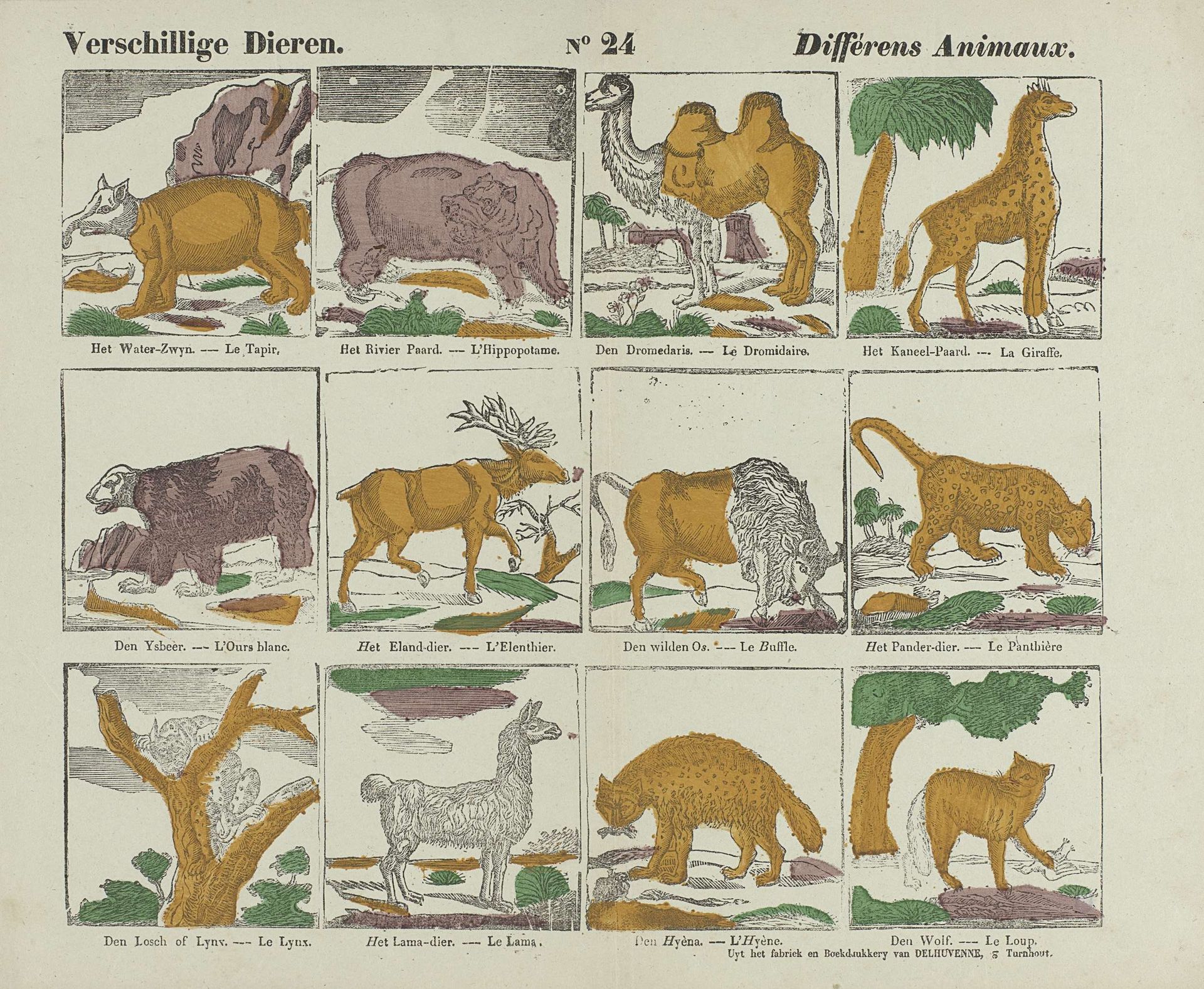 Verschillige dieren. / Différens animaux by P.J. Delhuvenne