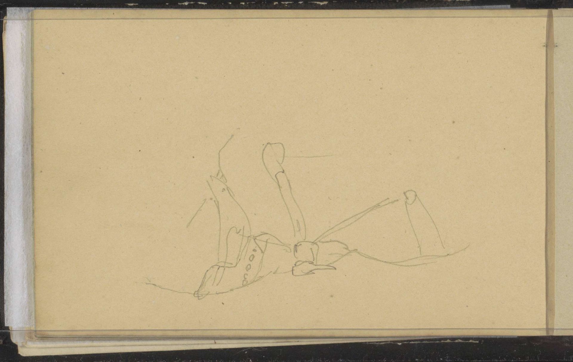 Paard met gareeltuig by Cornelis Springer
