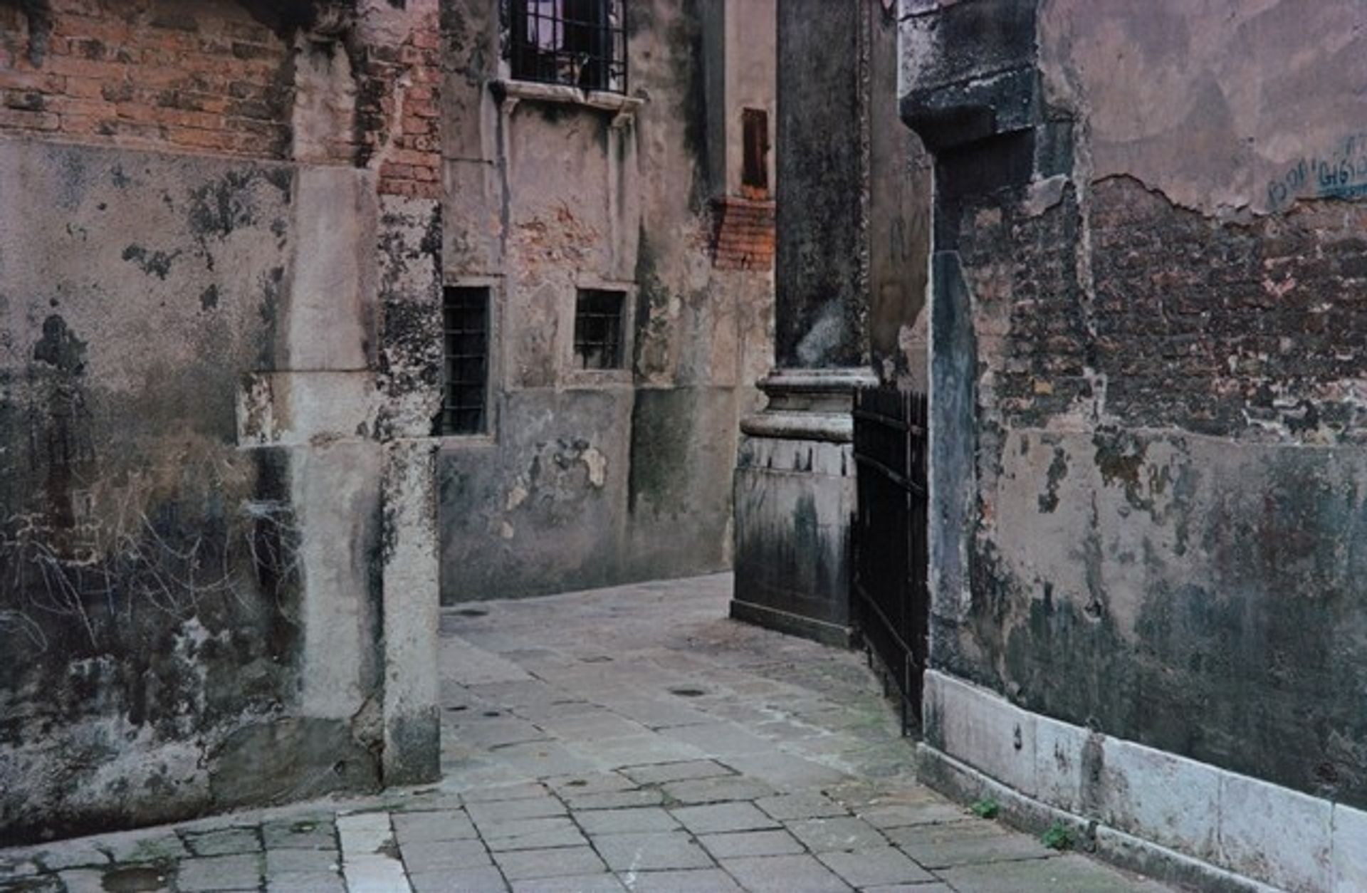 Alley with Green Moss, Venice by Harry Callahan