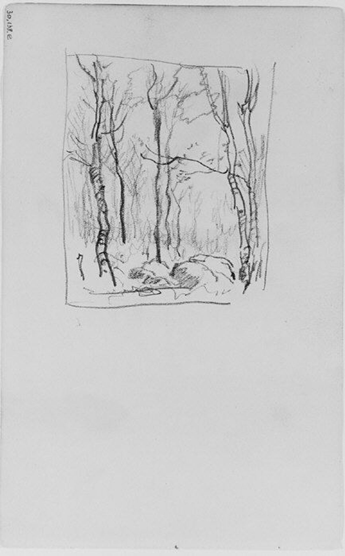 Trees and Rocks in a Forest (from Sketchbook) by Henry Ward Ranger