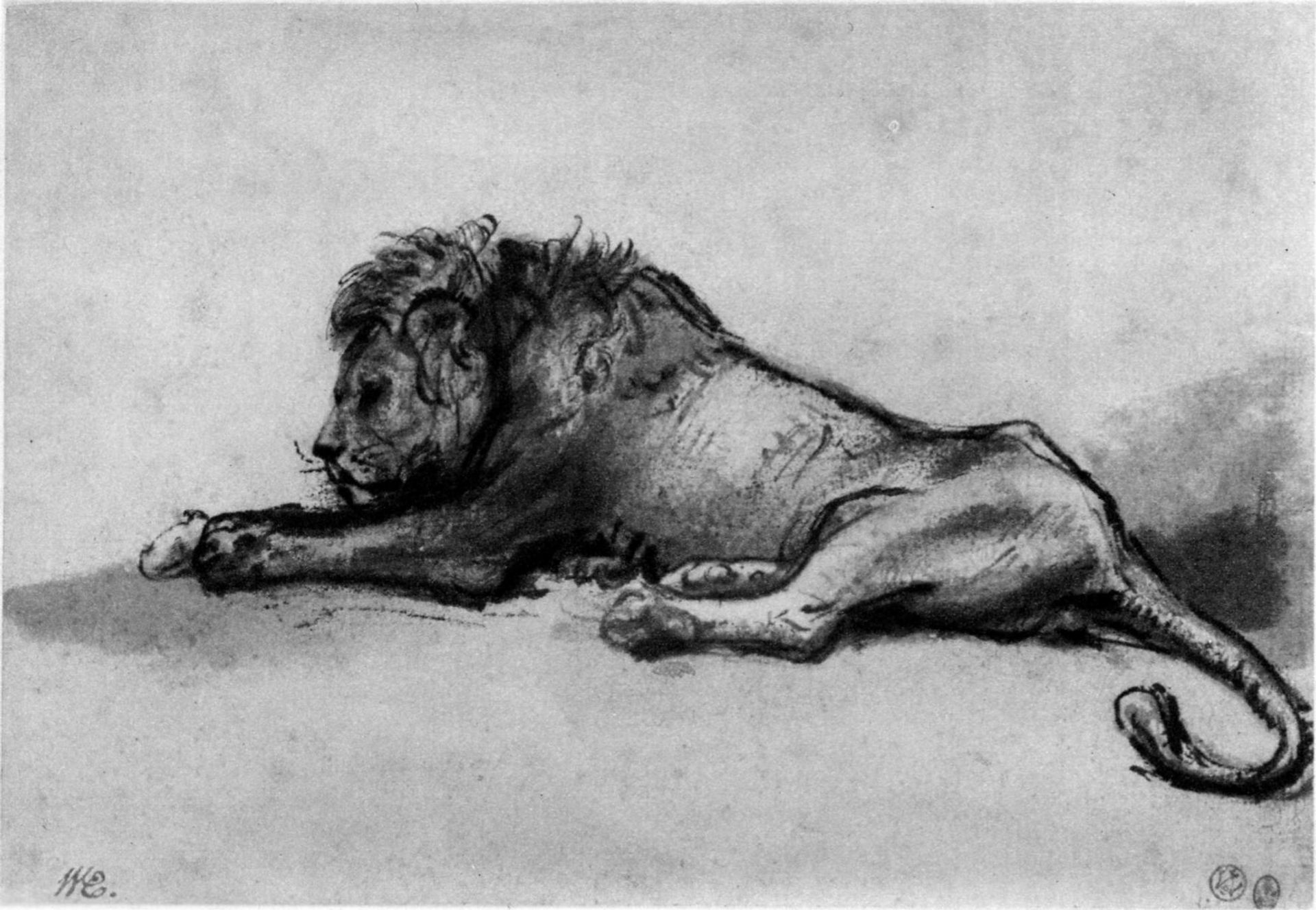 Lion resting by Rembrandt van Rijn