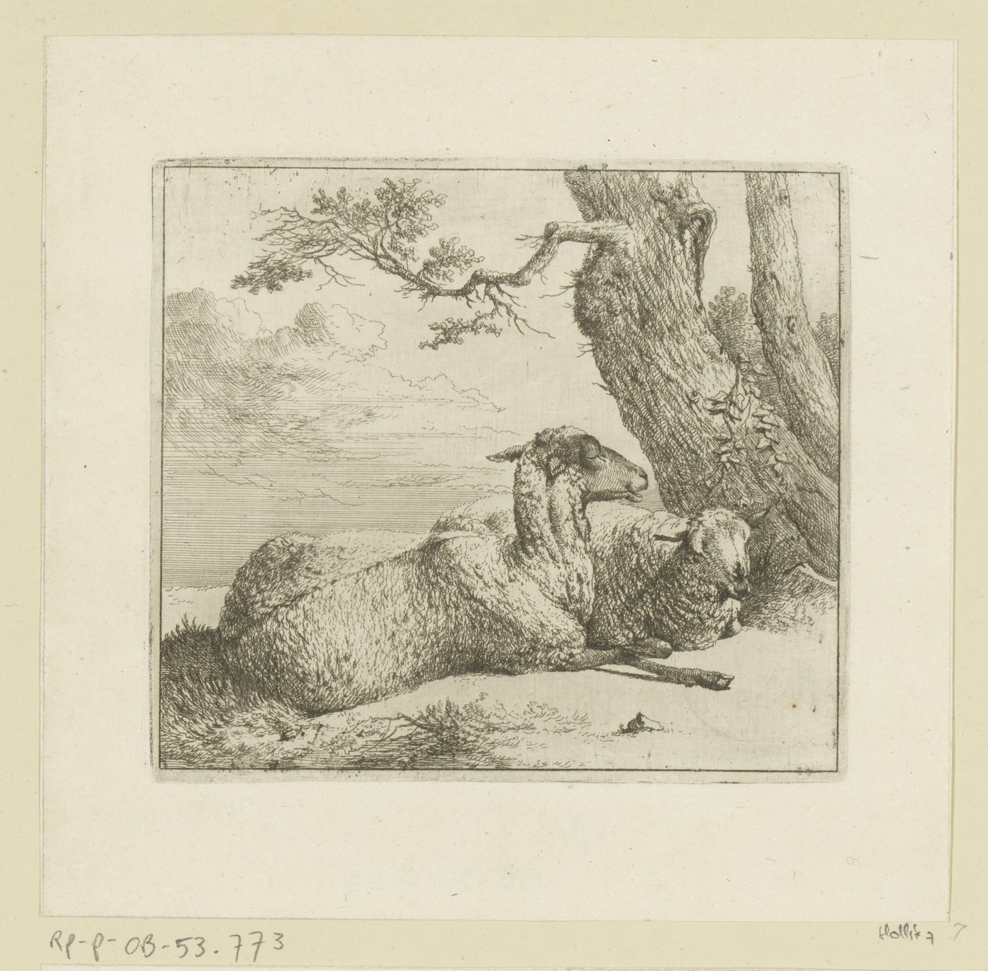 Twee liggende schapen bij stronk van een boom by Johann Heinrich Roos