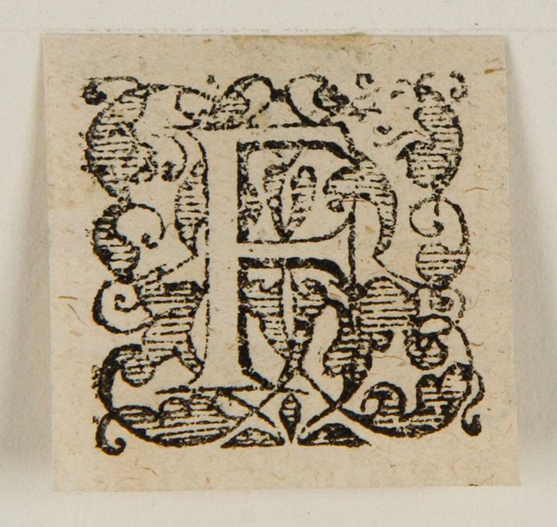Letter F by Anonymous