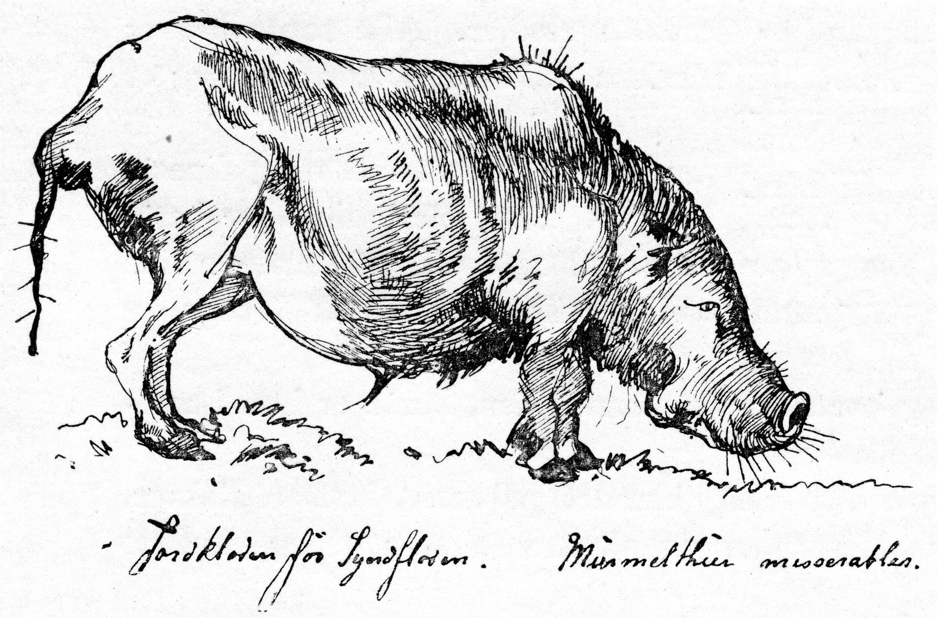 Jordkloden by Theodor Severin Kittelsen