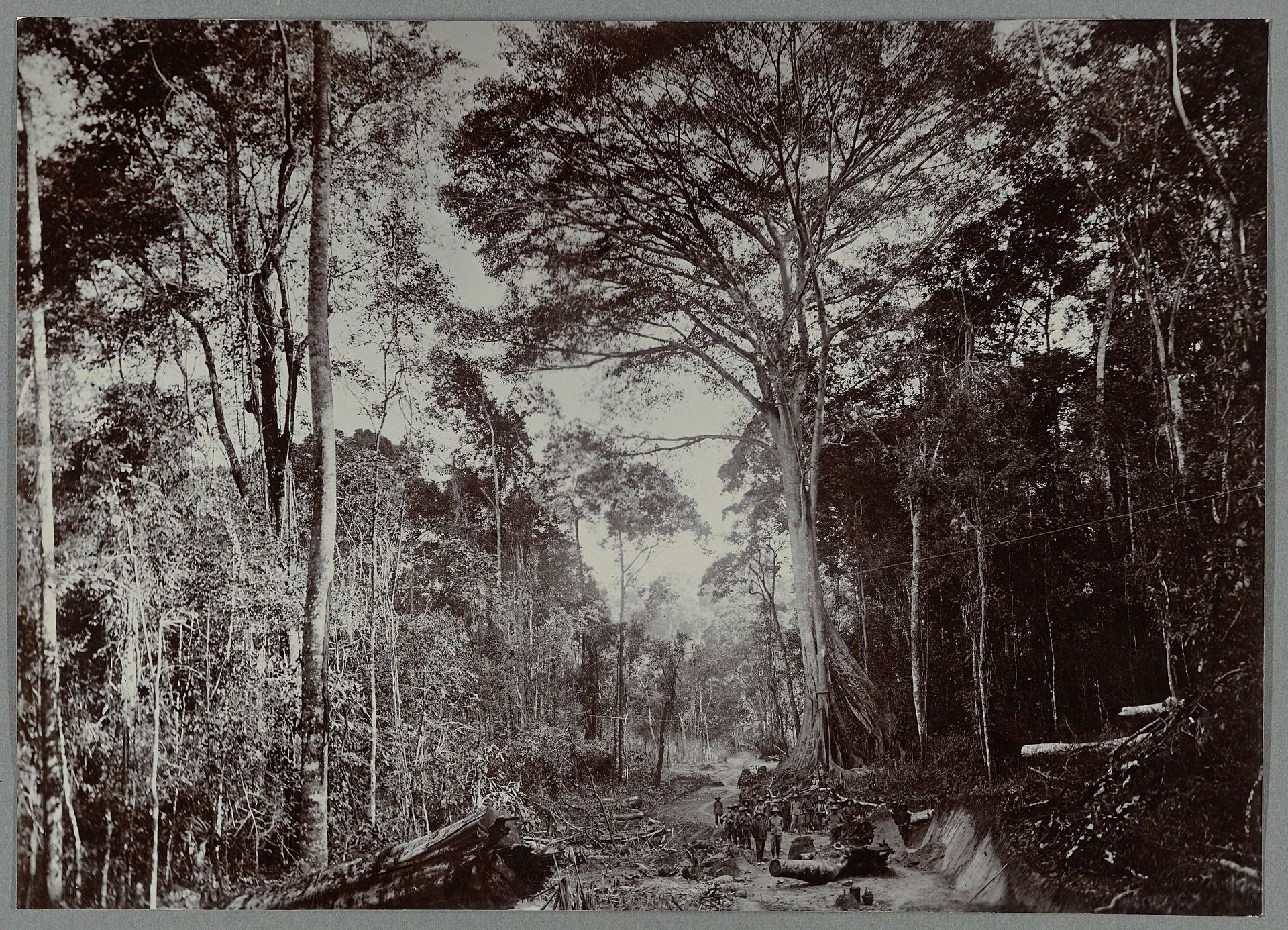 Aanleg van de weg langs bomen by Anonymous