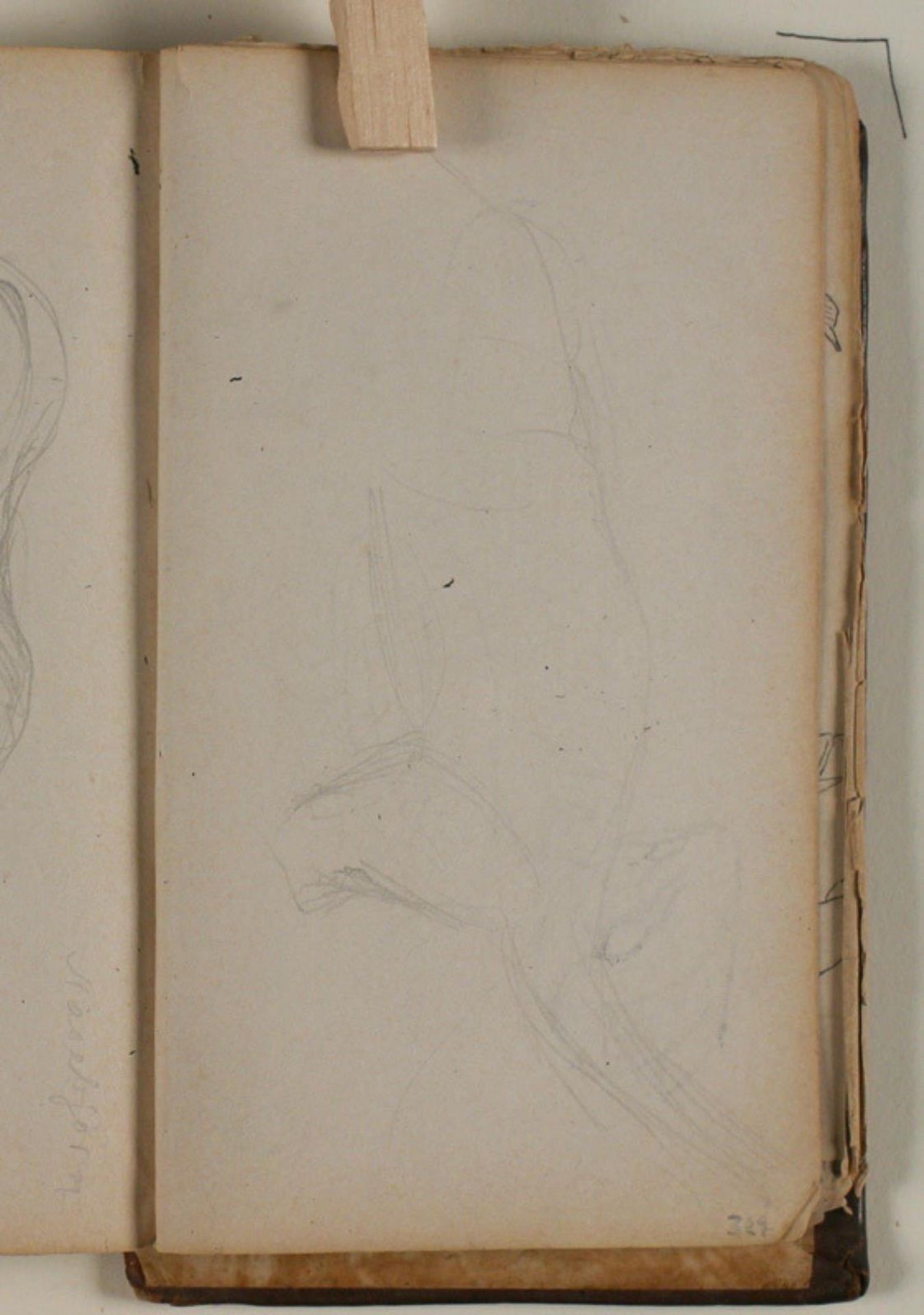 Studie af næsebjørn by Niels Larsen Stevns