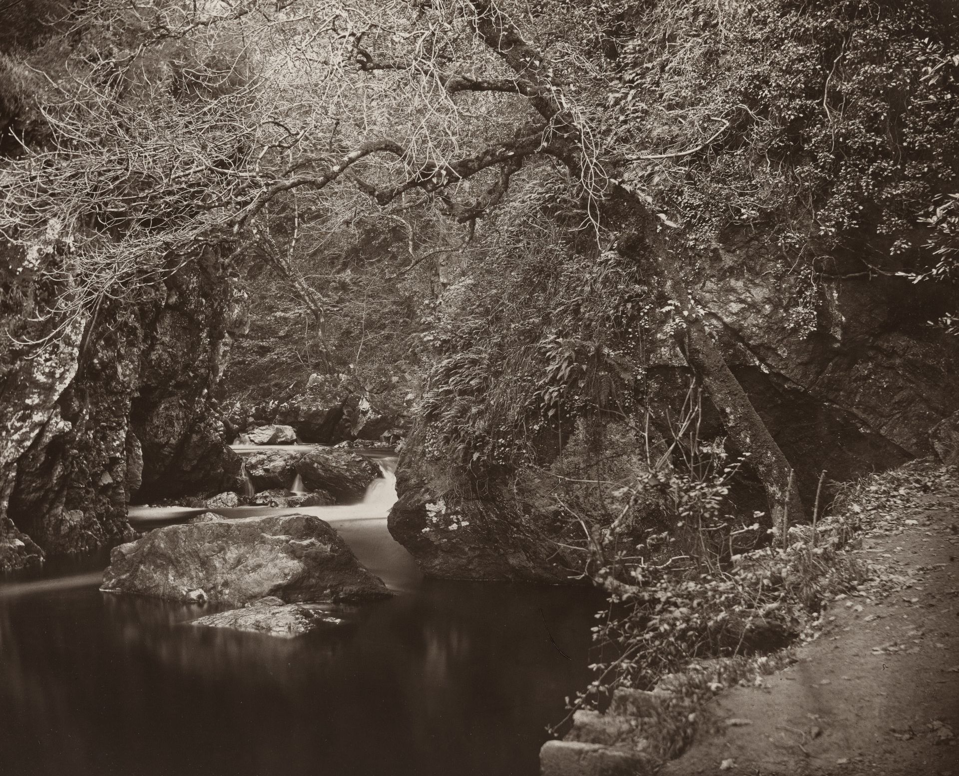 The Dargle Hole by Thomas Marcus Brownrigg