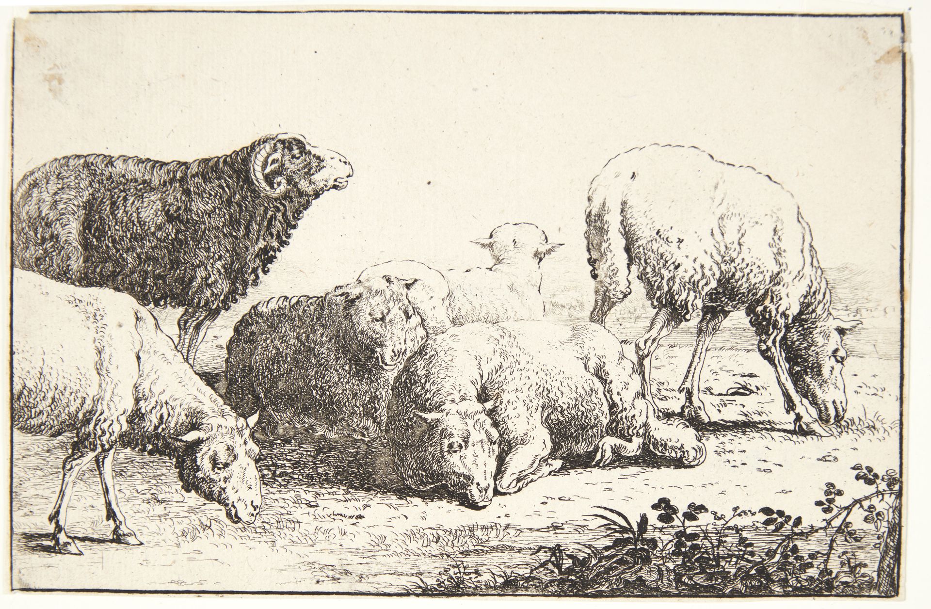 Får by Jan van den Hecke I