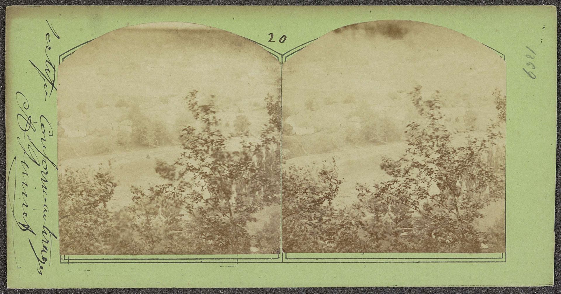 Bosschage met op de achtergrond bomen by Achille Quinet