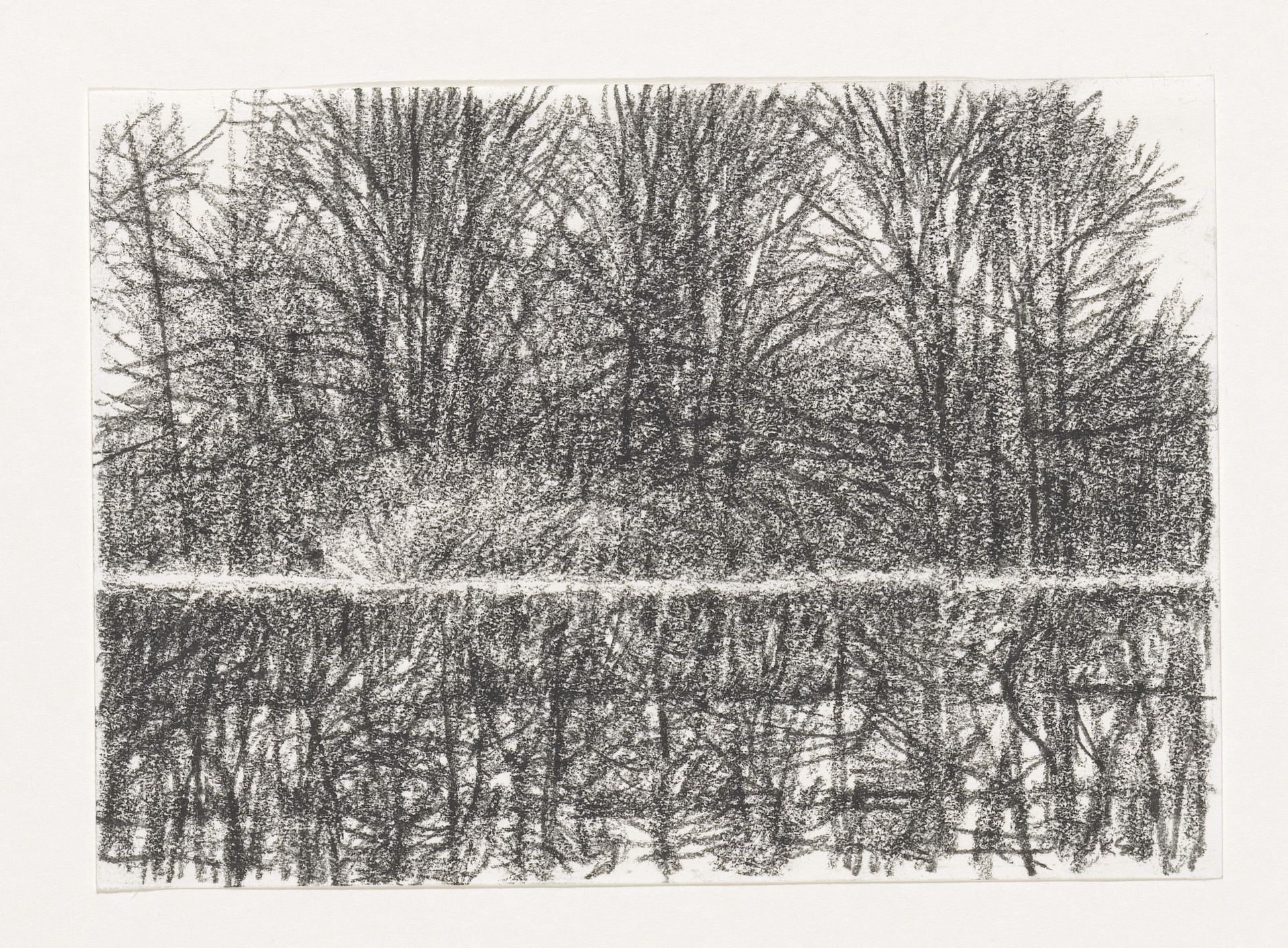 Bomen zonder blad achter haag by Kees Stoop