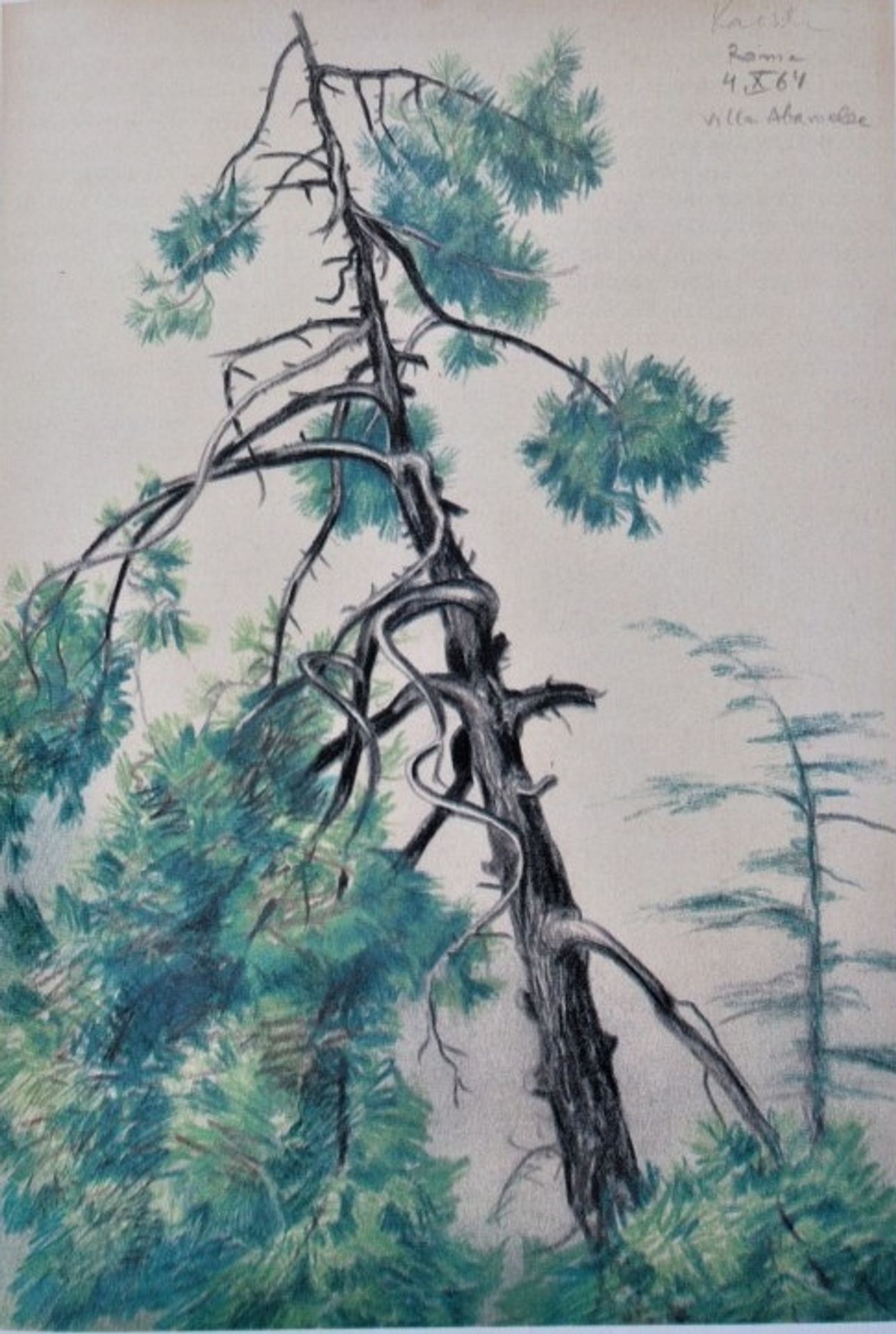 Tree. Rome, Abameleca Villa by Vasyl Kasiyan