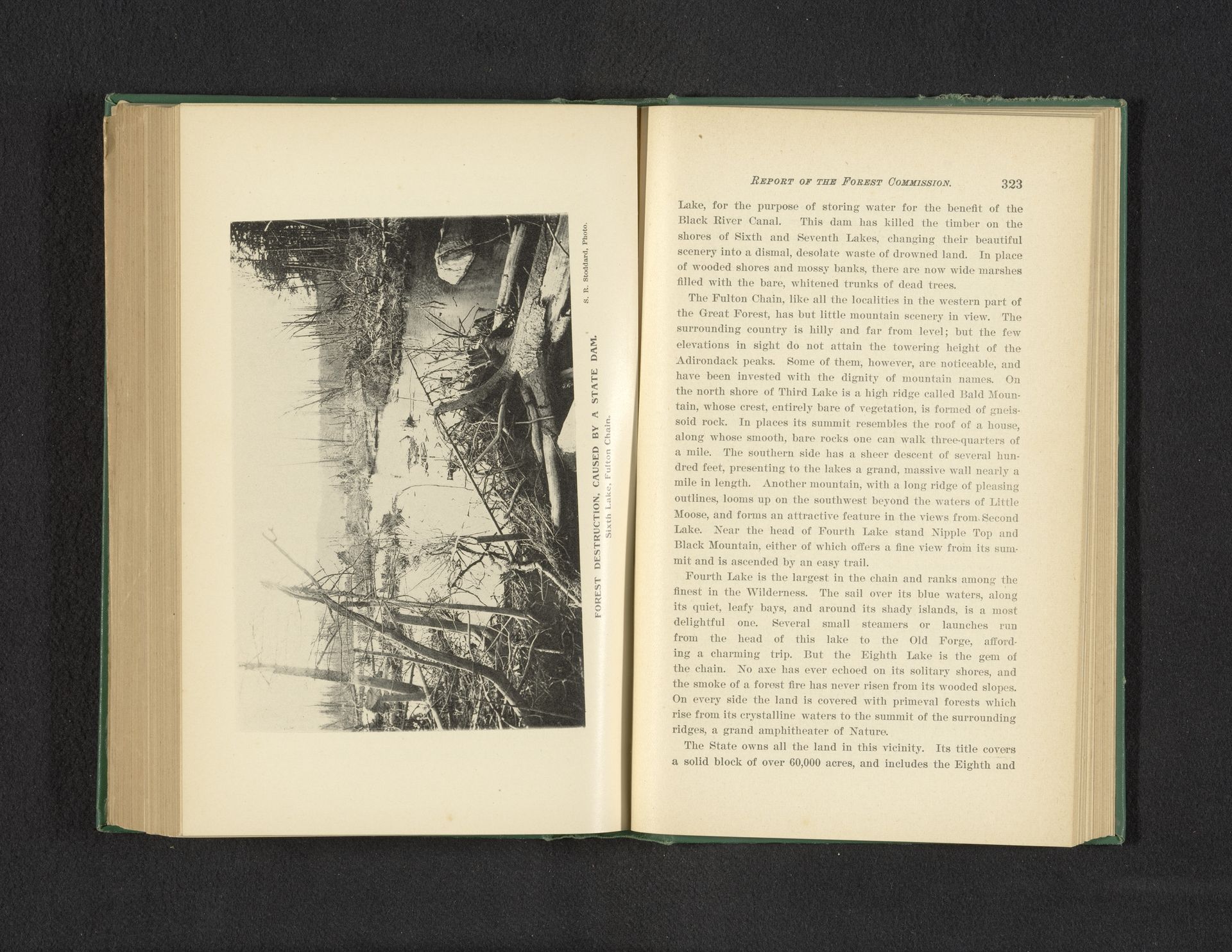 Forest instruction, caused by a state dam by Seneca Ray Stoddard