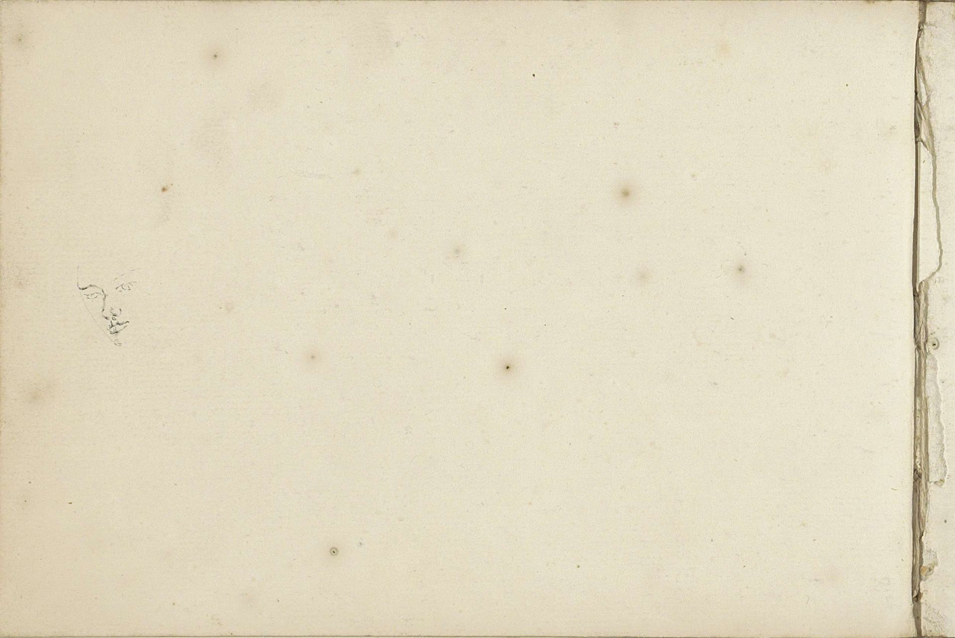 Gezicht van een vrouw by Abraham de (II) Haen