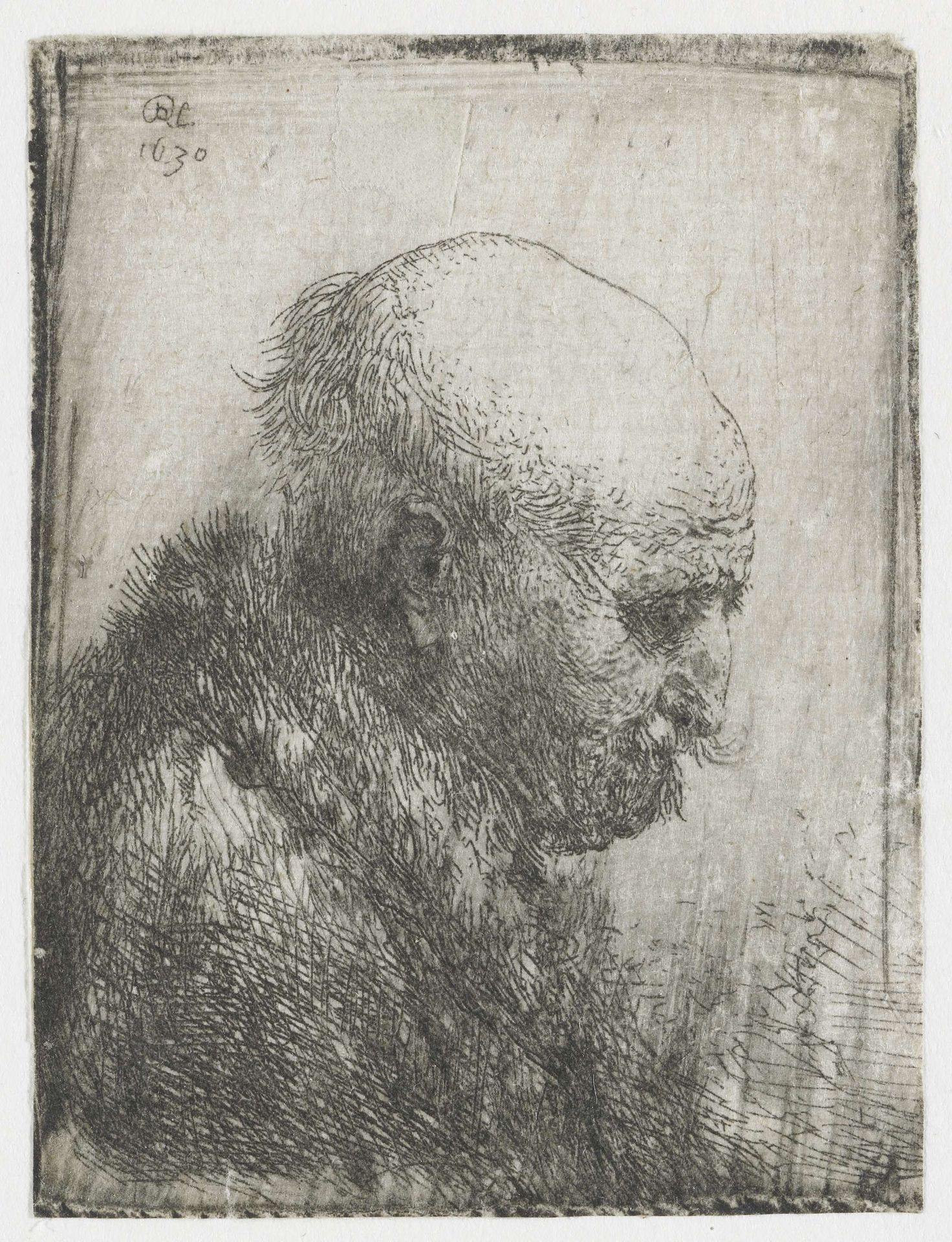 Bald-headed Man in Profile by Rembrandt van Rijn