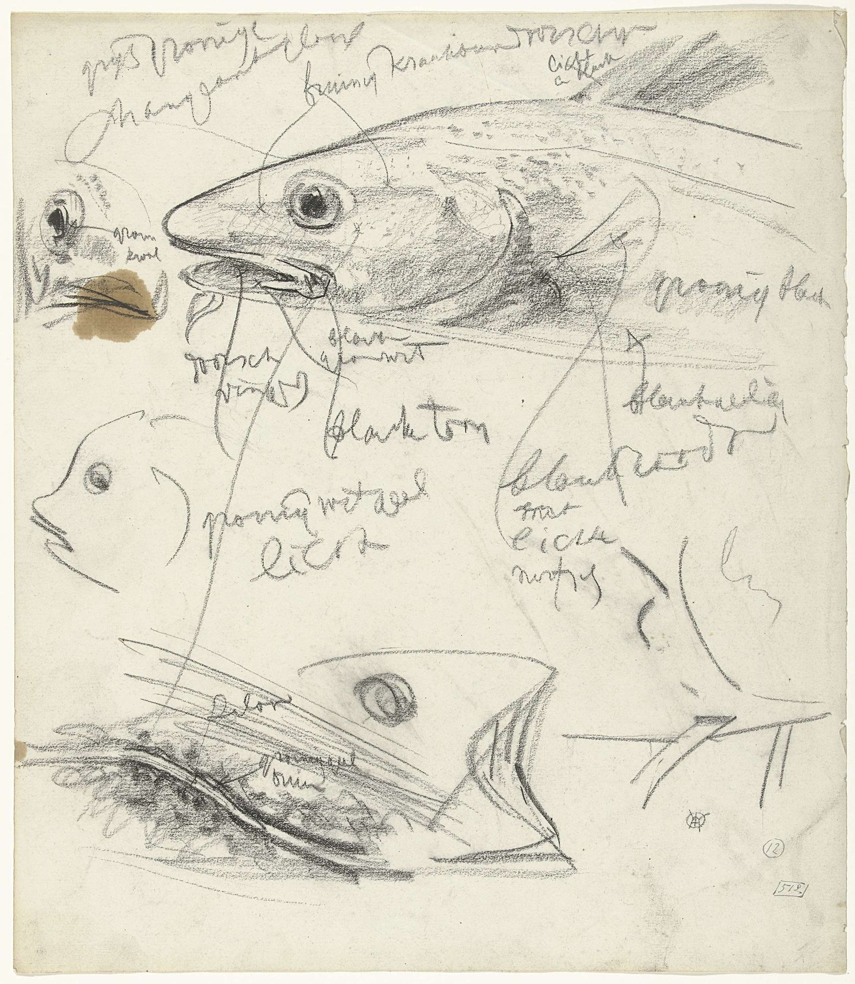 Studies van vissen, met kleurnotities by Gerrit Willem Dijsselhof