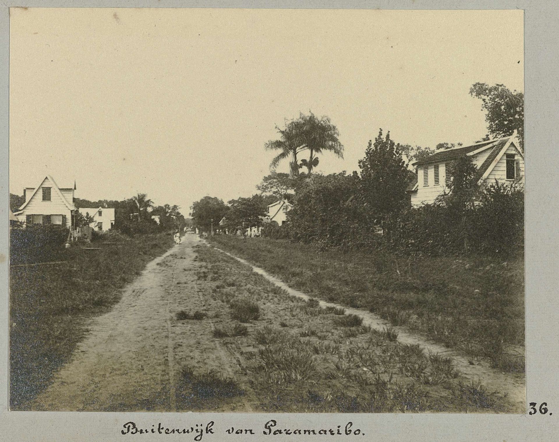 Buitenwijk van Paramaribo by Hendrik Doijer