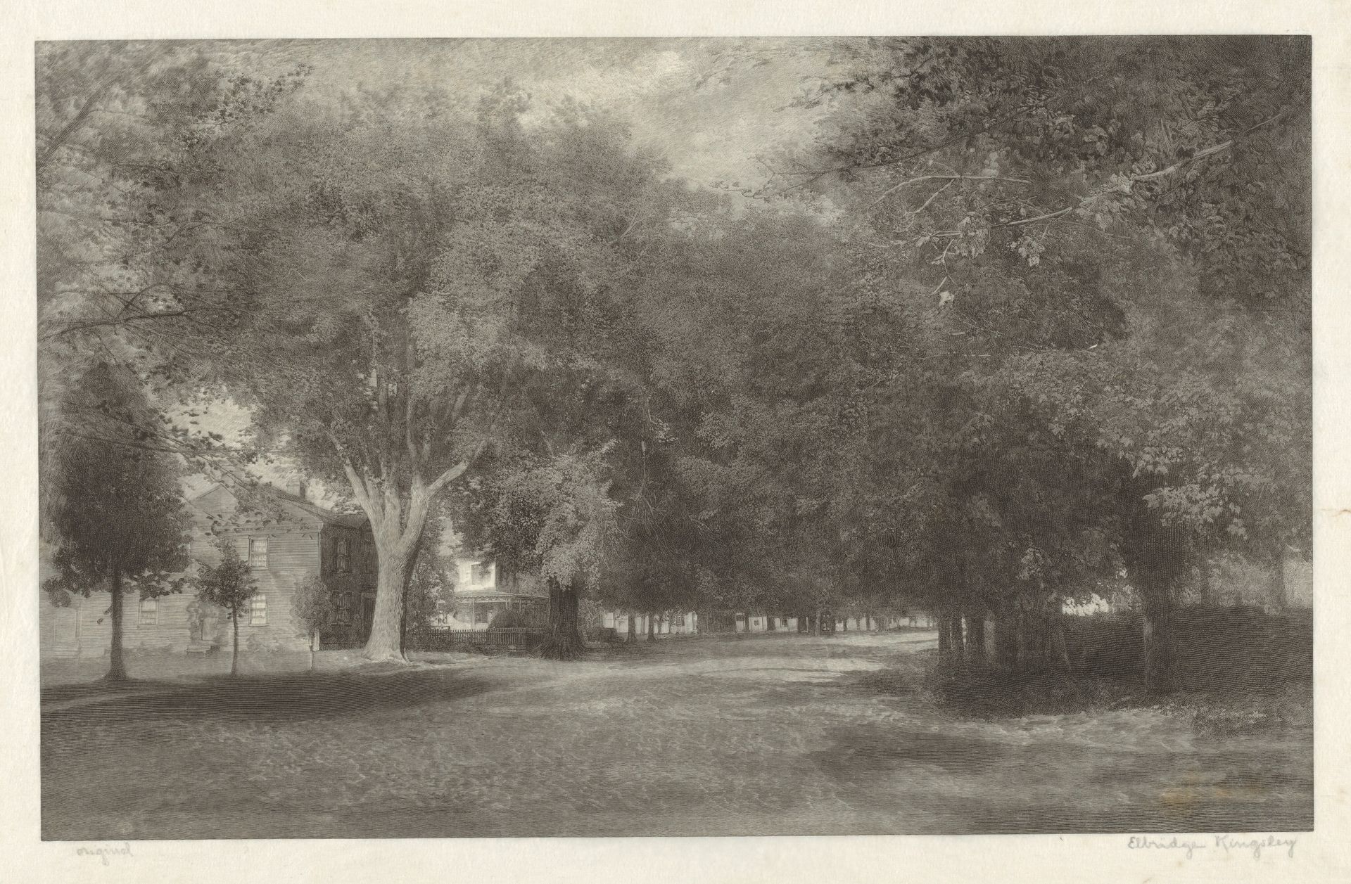 New England Elms by Elbridge Kingsley