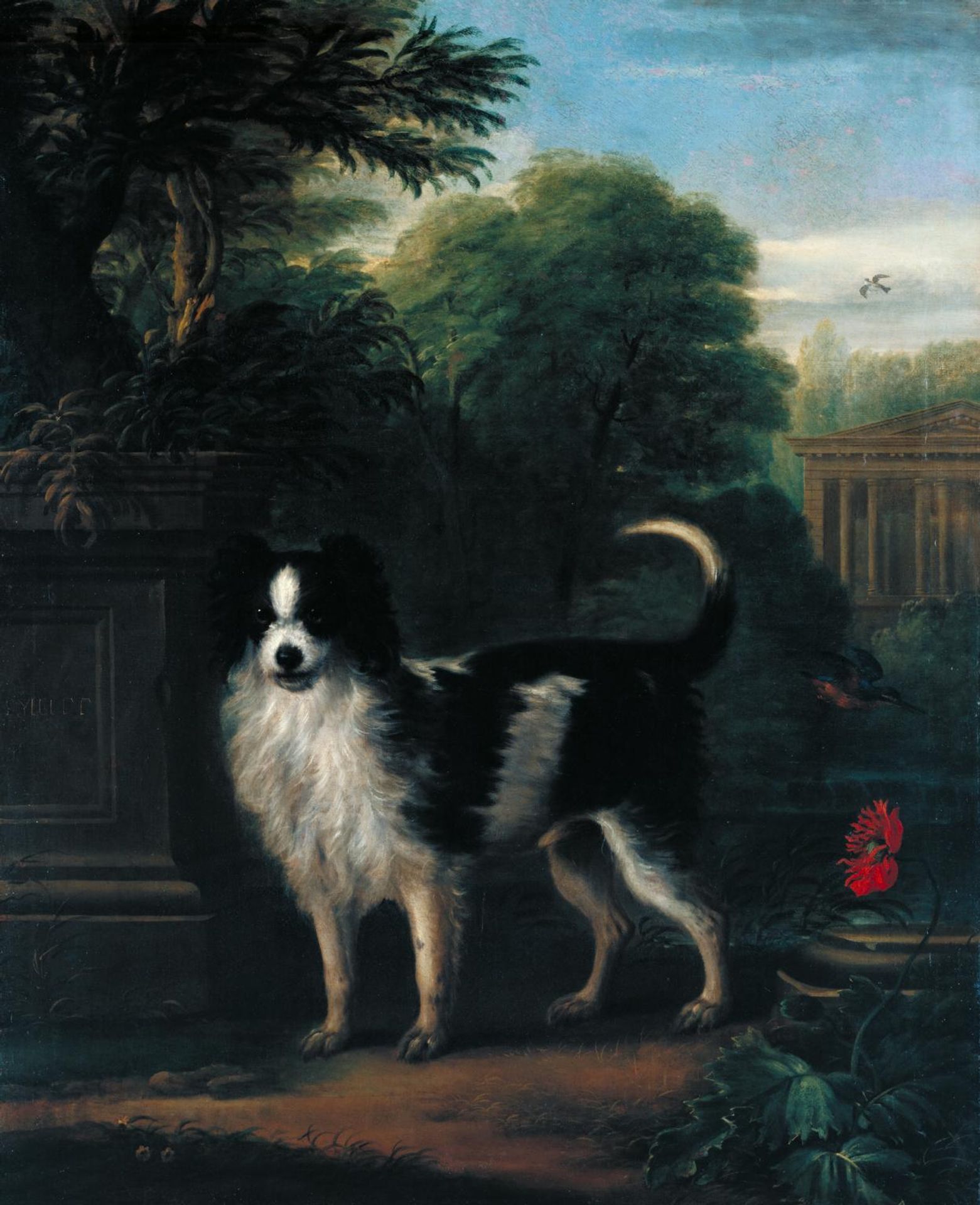 Muff, a Black and White Dog by John Wootton