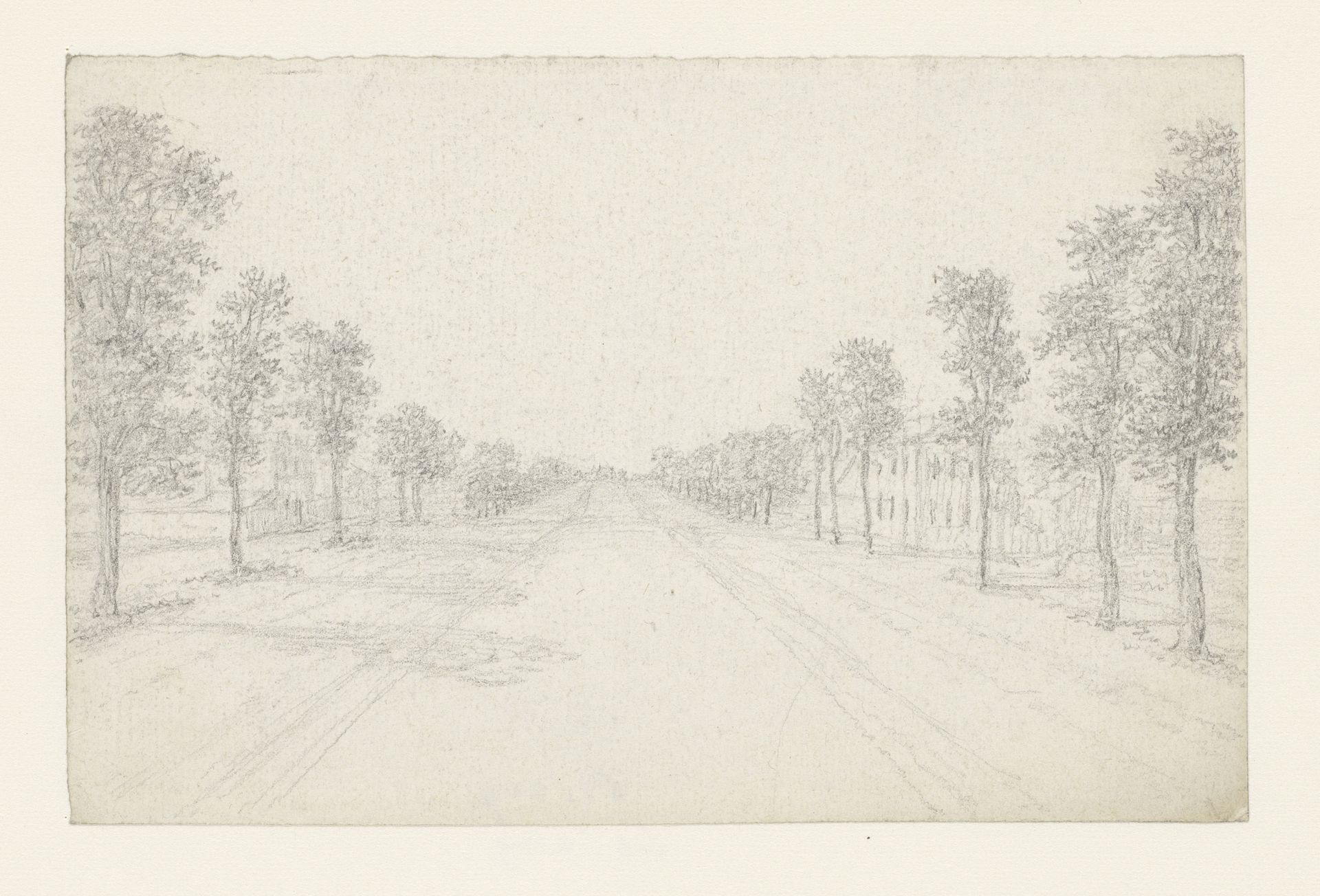 Brede landweg met jonge bomen beplant by Georges Michel