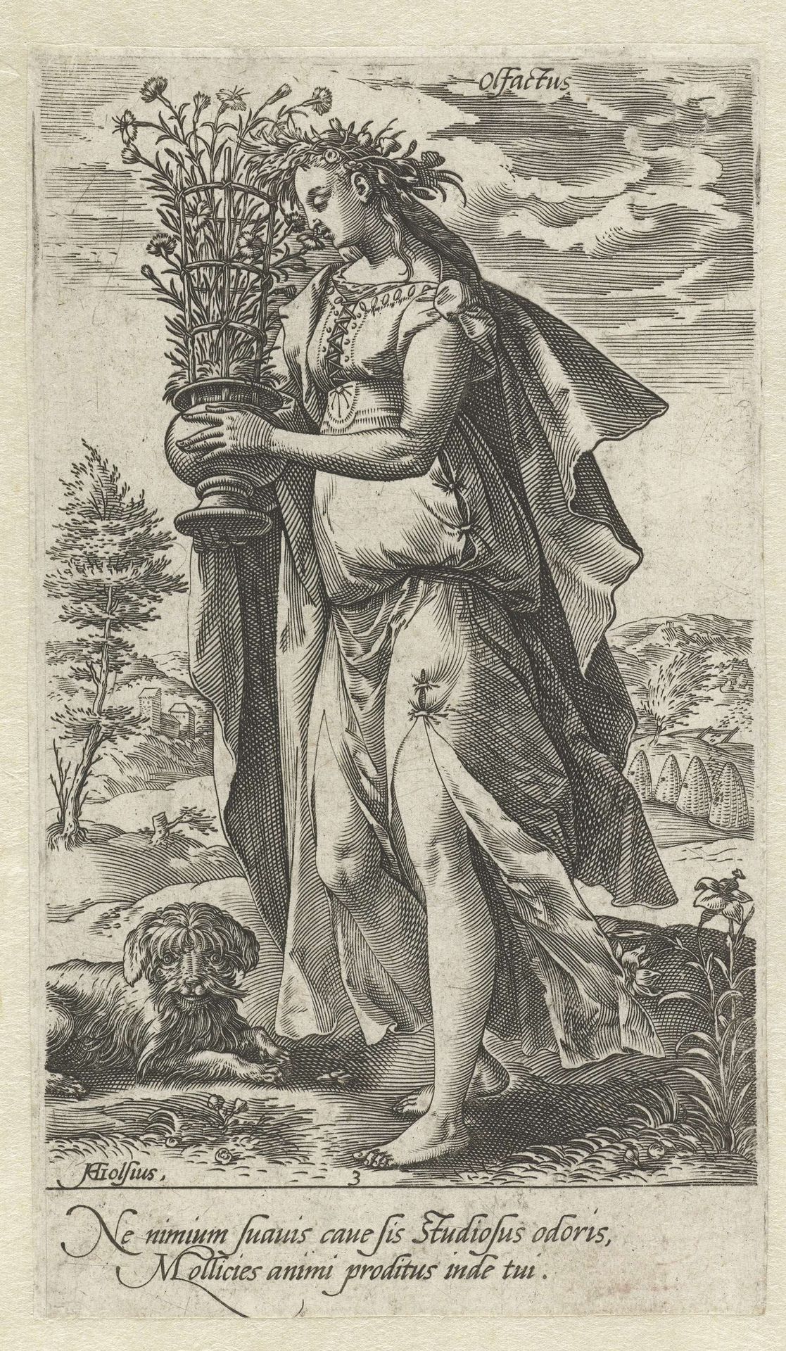 Reuk by Hendrick Goltzius
