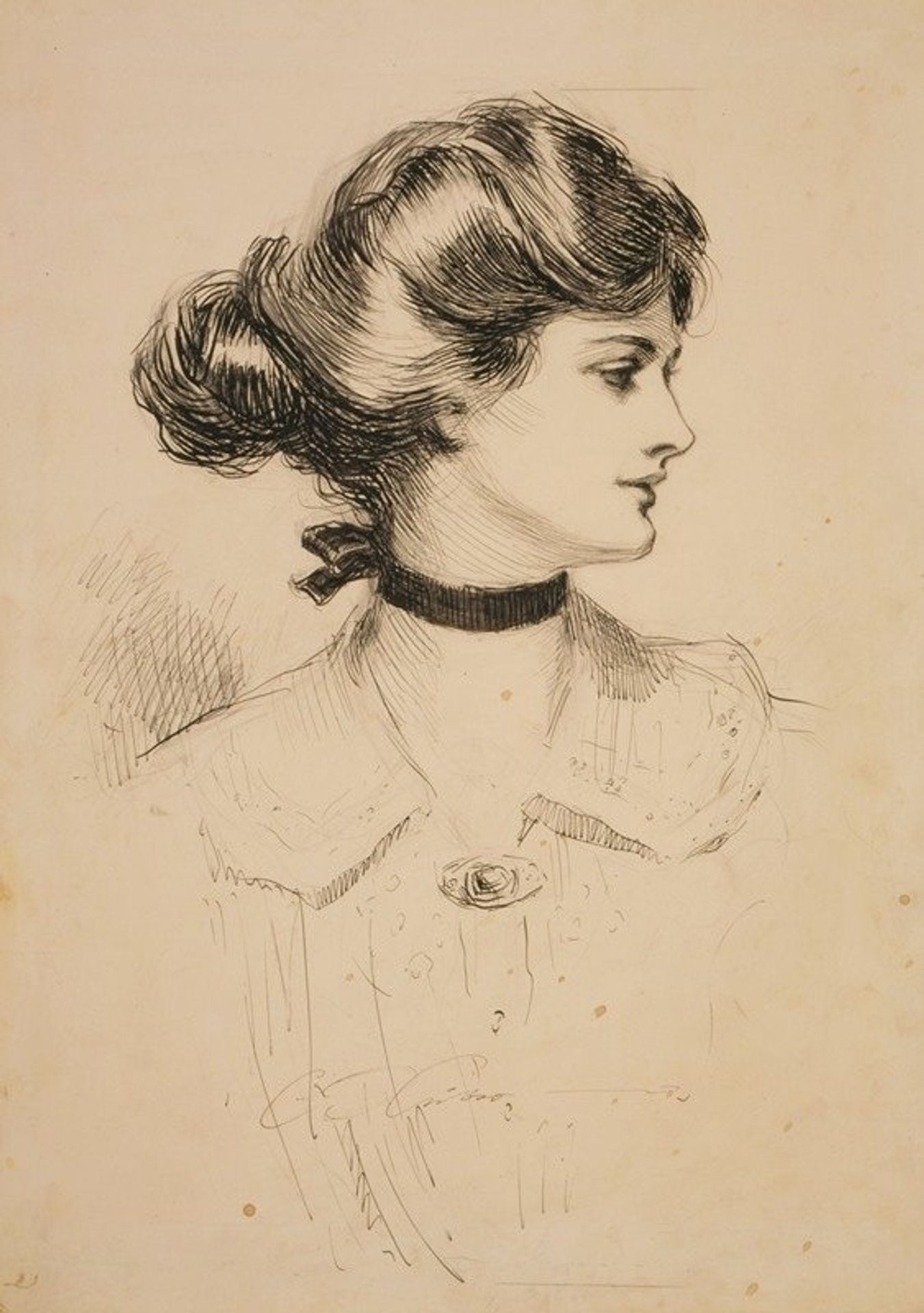 A daughter of the south by Charles Dana Gibson