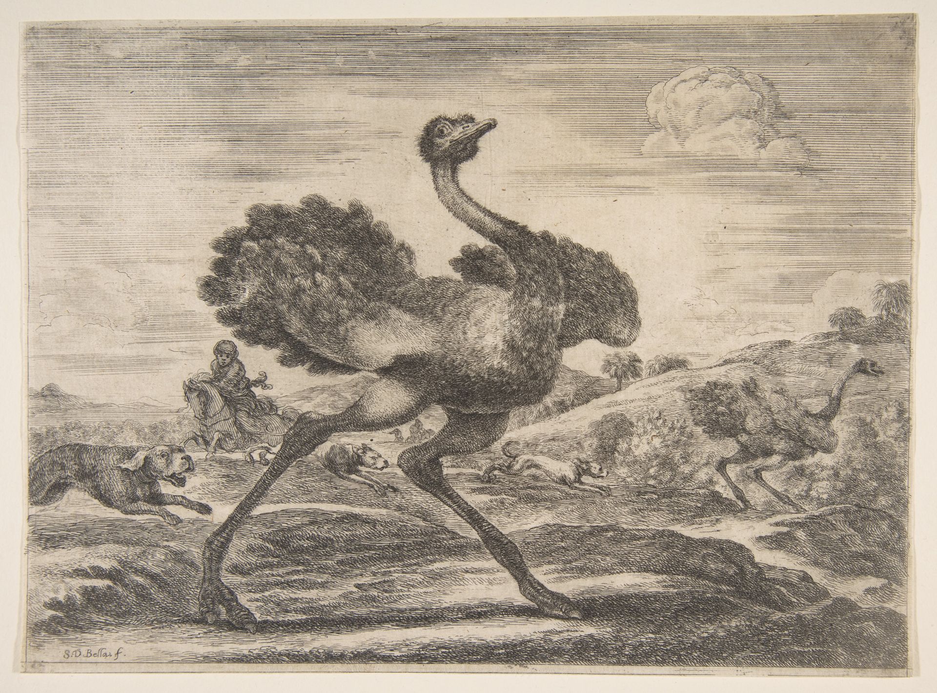 Ostrich hunt, from 'Animal hunts' (Chasses à différents animaux) by Stefano della Bella