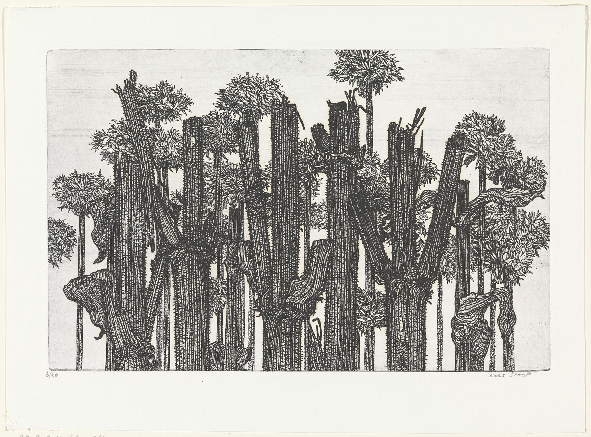 Vertakte stengels by Kees Stoop
