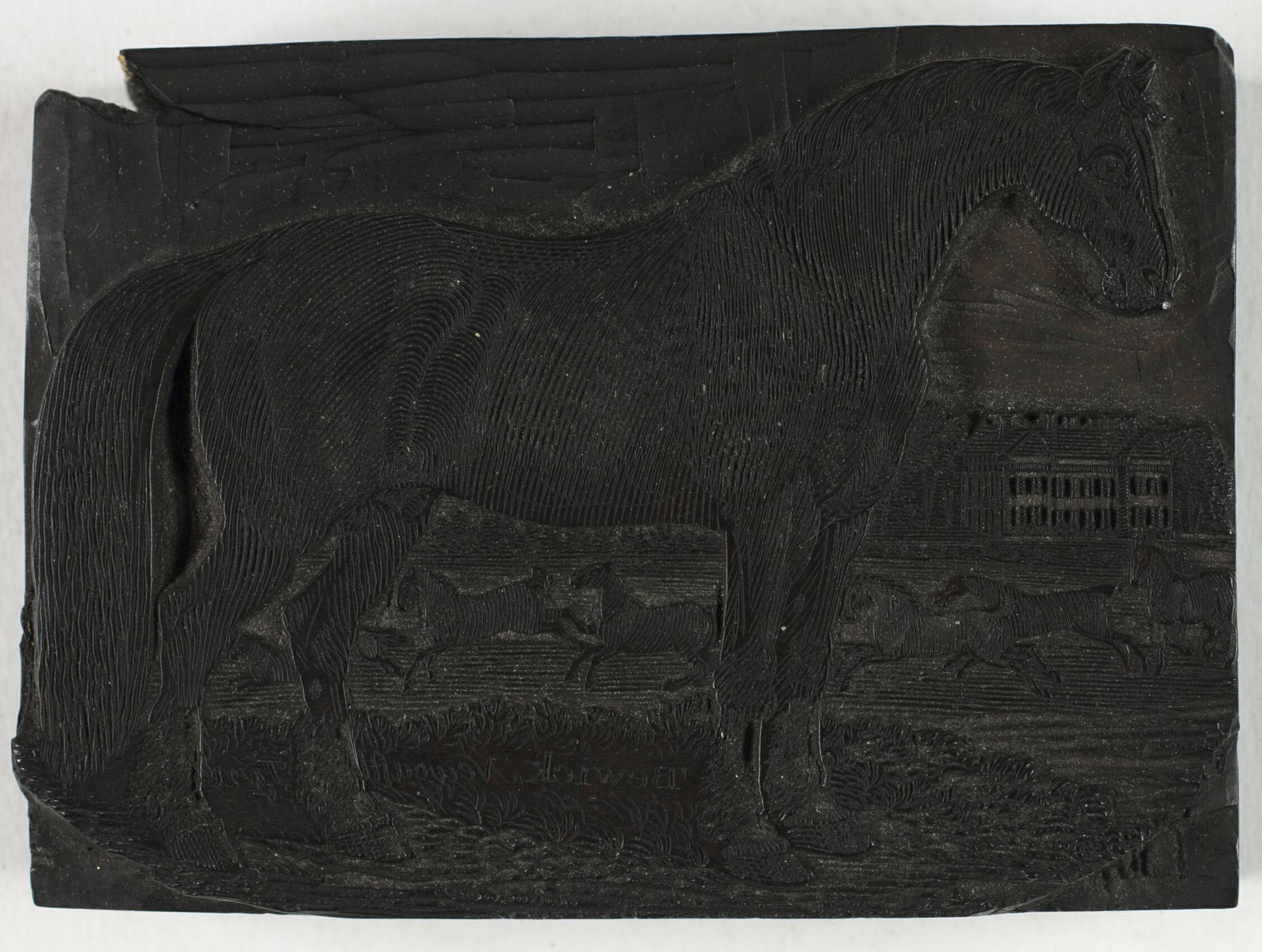 Woodblock for The Black Horse, from a General History of Quadrupeds by Thomas Bewick