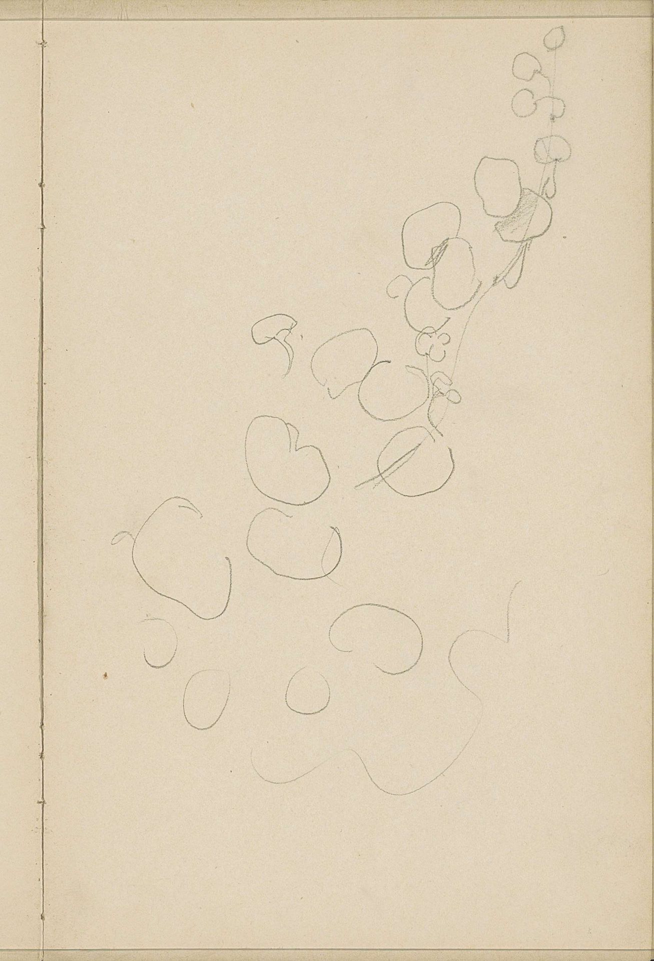 Stengel met bloemknoppen by Antoon Derkinderen