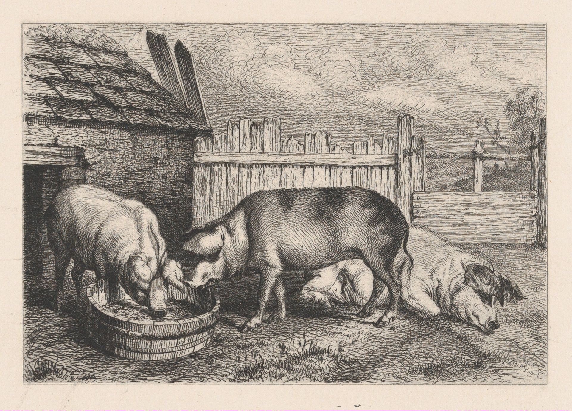 Three Pigs Near a Fence by Karl Bodmer