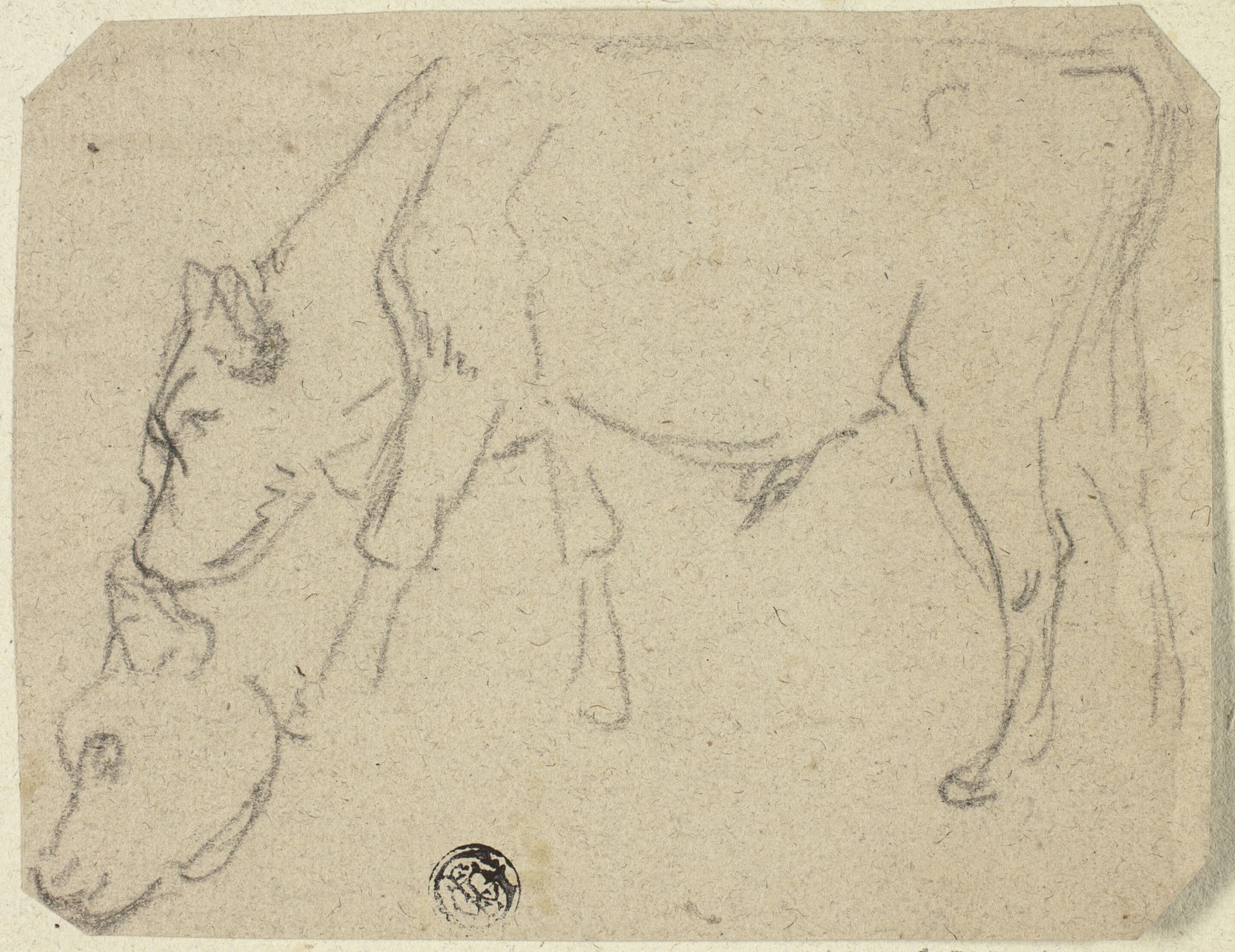 Sketches of Grazing Bull, Cow's Head (recto); Seated Cow in Profile (verso) by Anonymous
